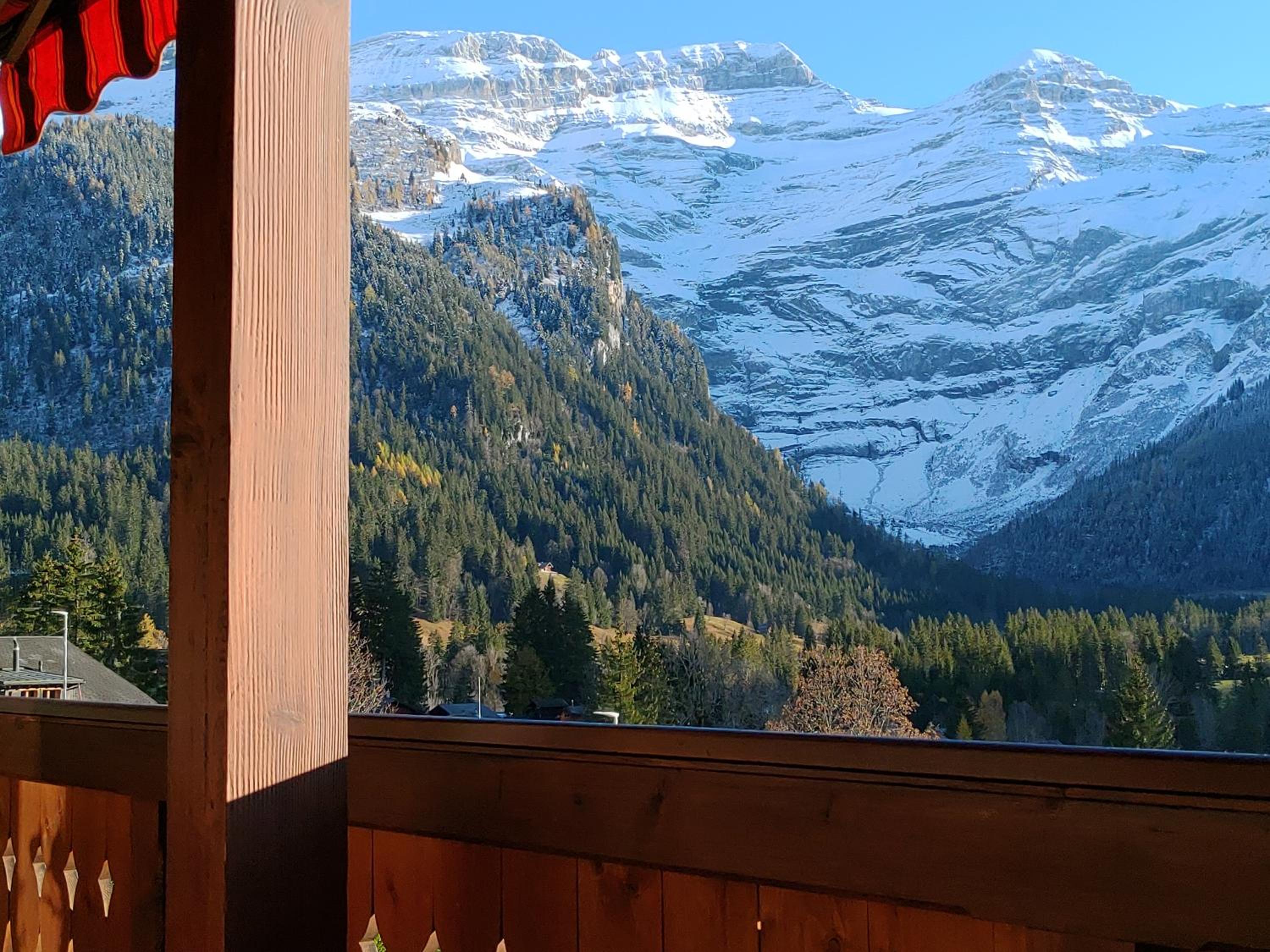 Studio avec vue splendide sur les Diablerets