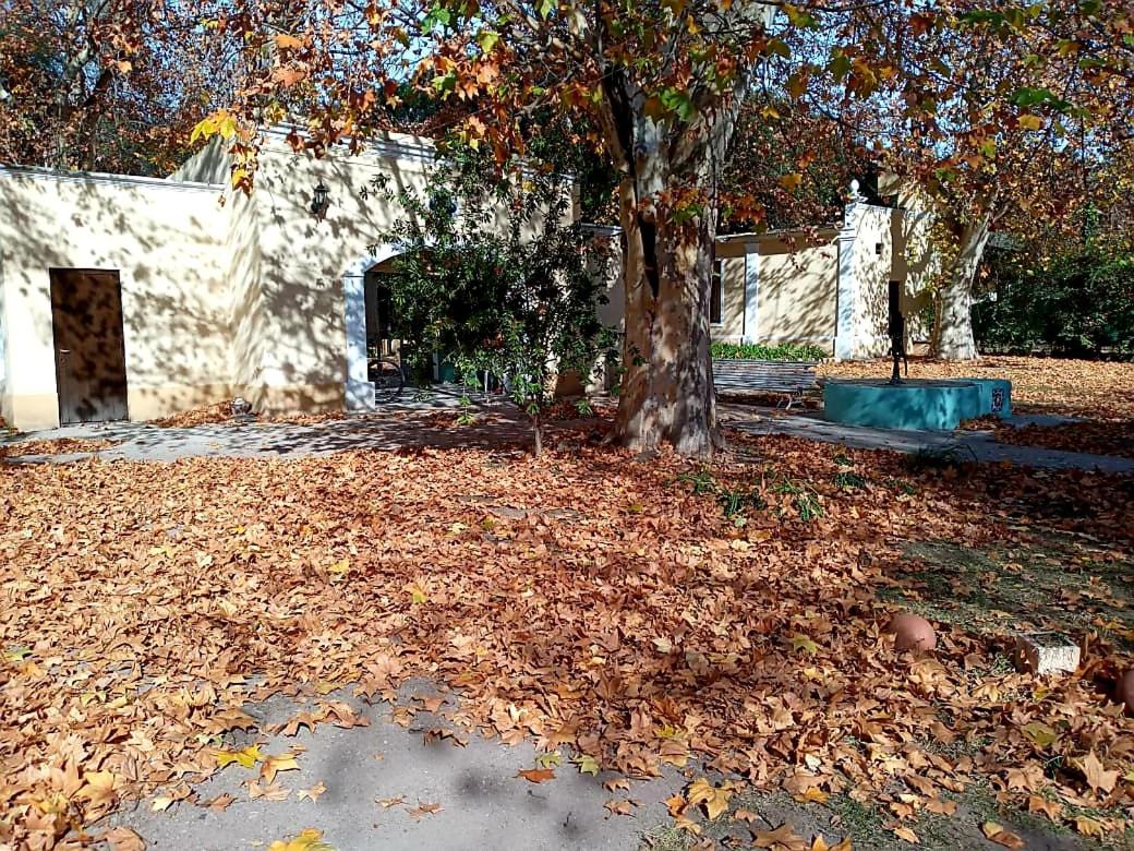 children's play area