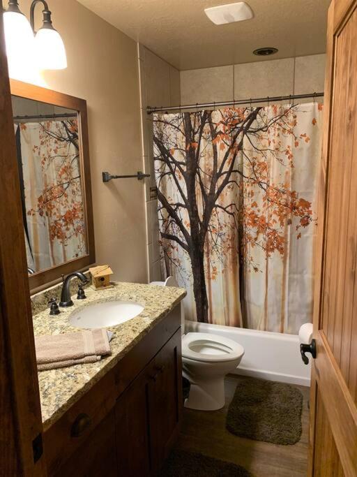 Photo 18