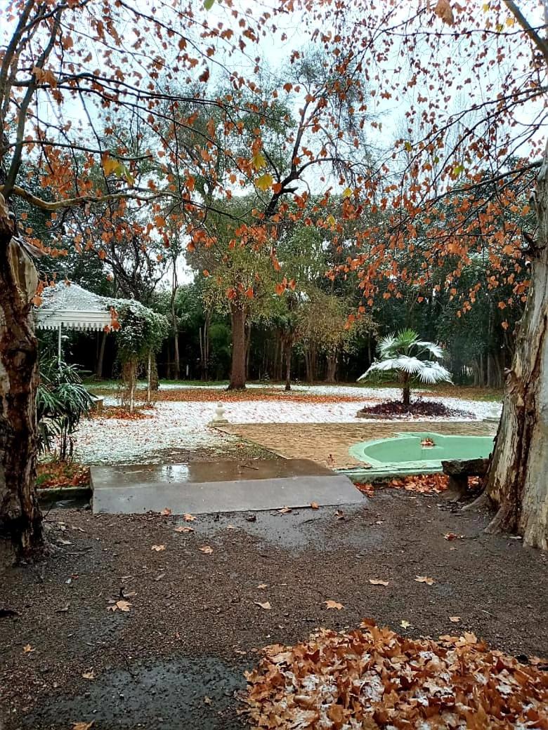 children's play area