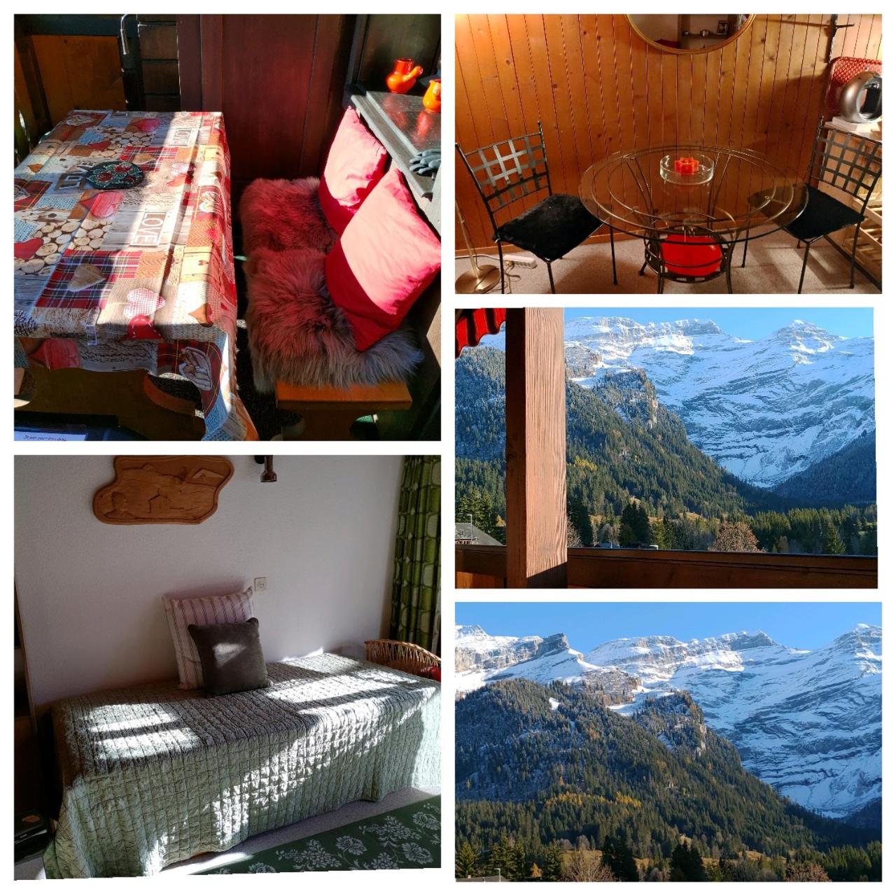 Studio avec vue splendide sur les Diablerets