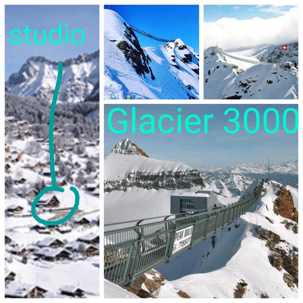 Studio avec vue splendide sur les Diablerets