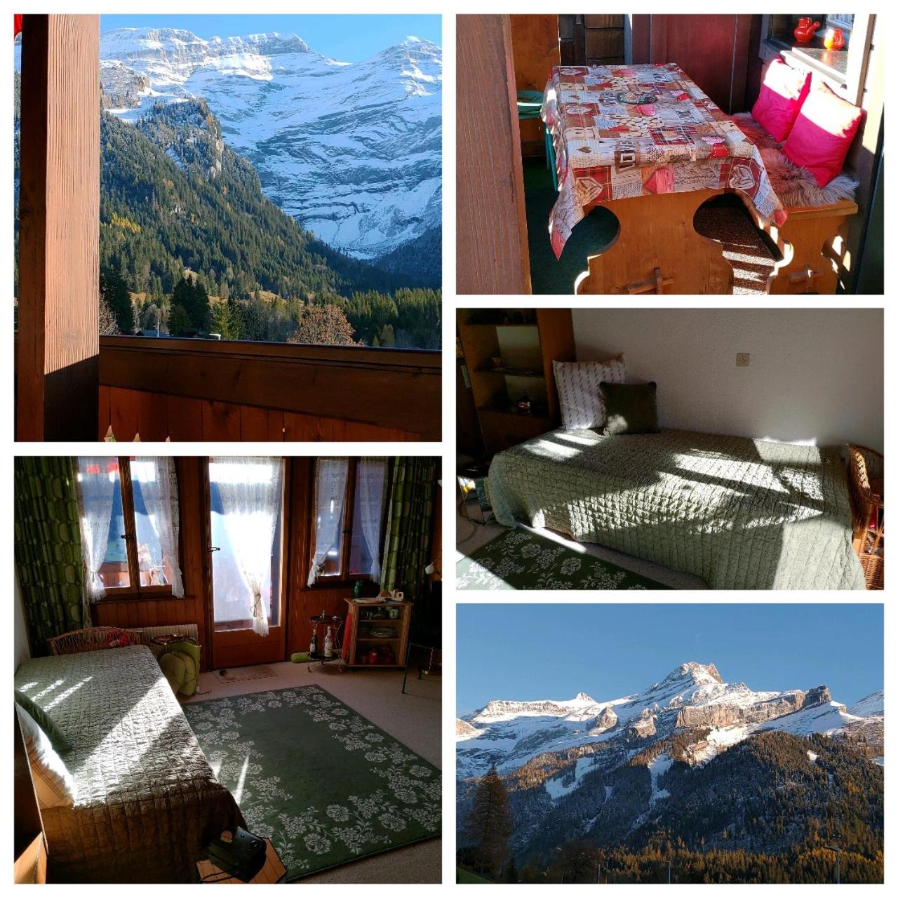 Studio avec vue splendide sur les Diablerets