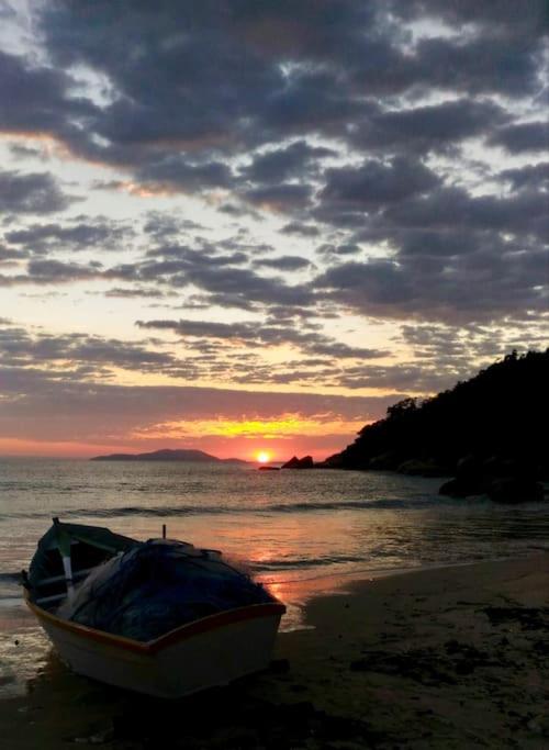 Praia de Palmas - praiadepalmasachar
