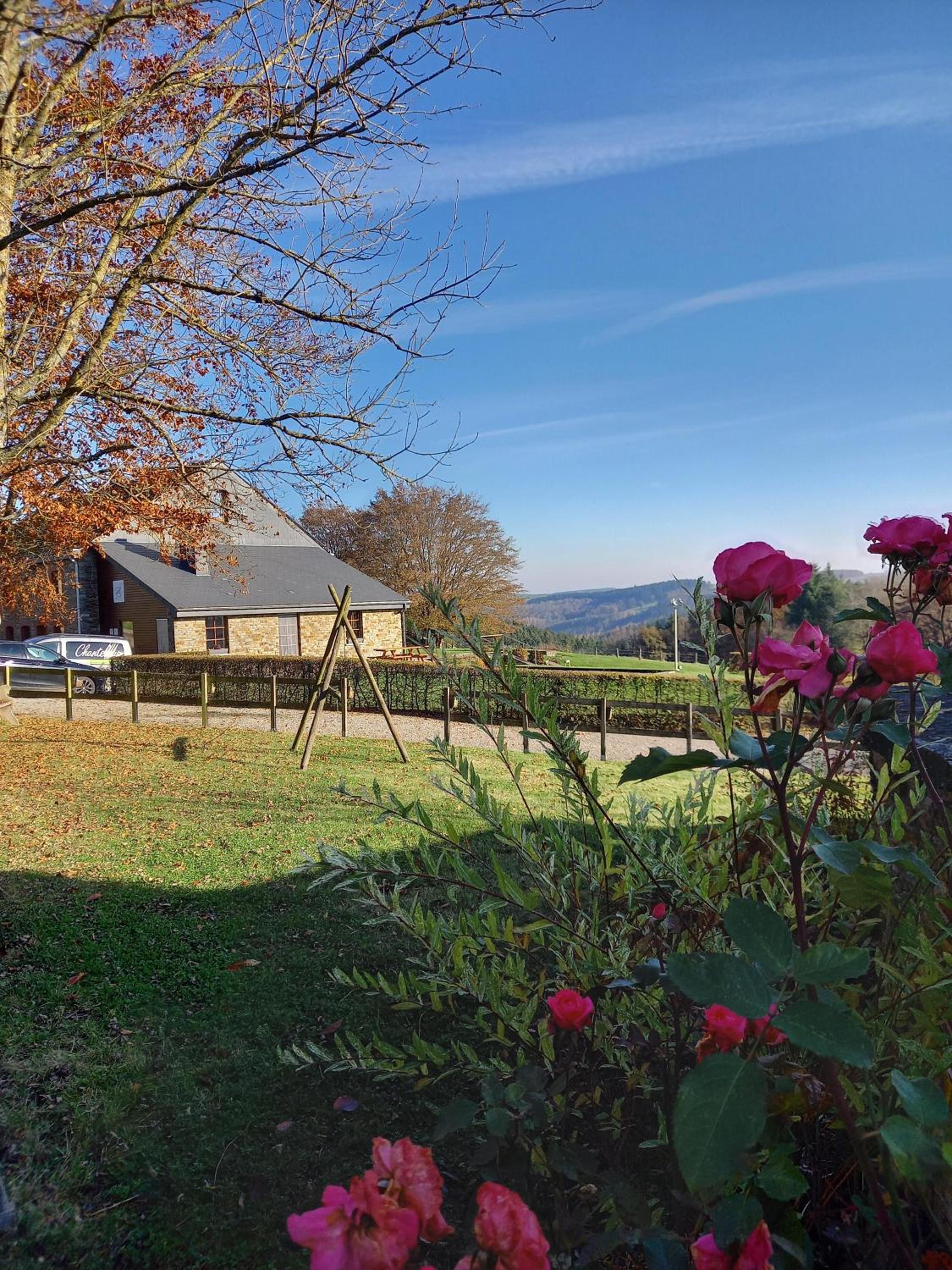 Chanteloup, Maison d'hôtes - Halleux