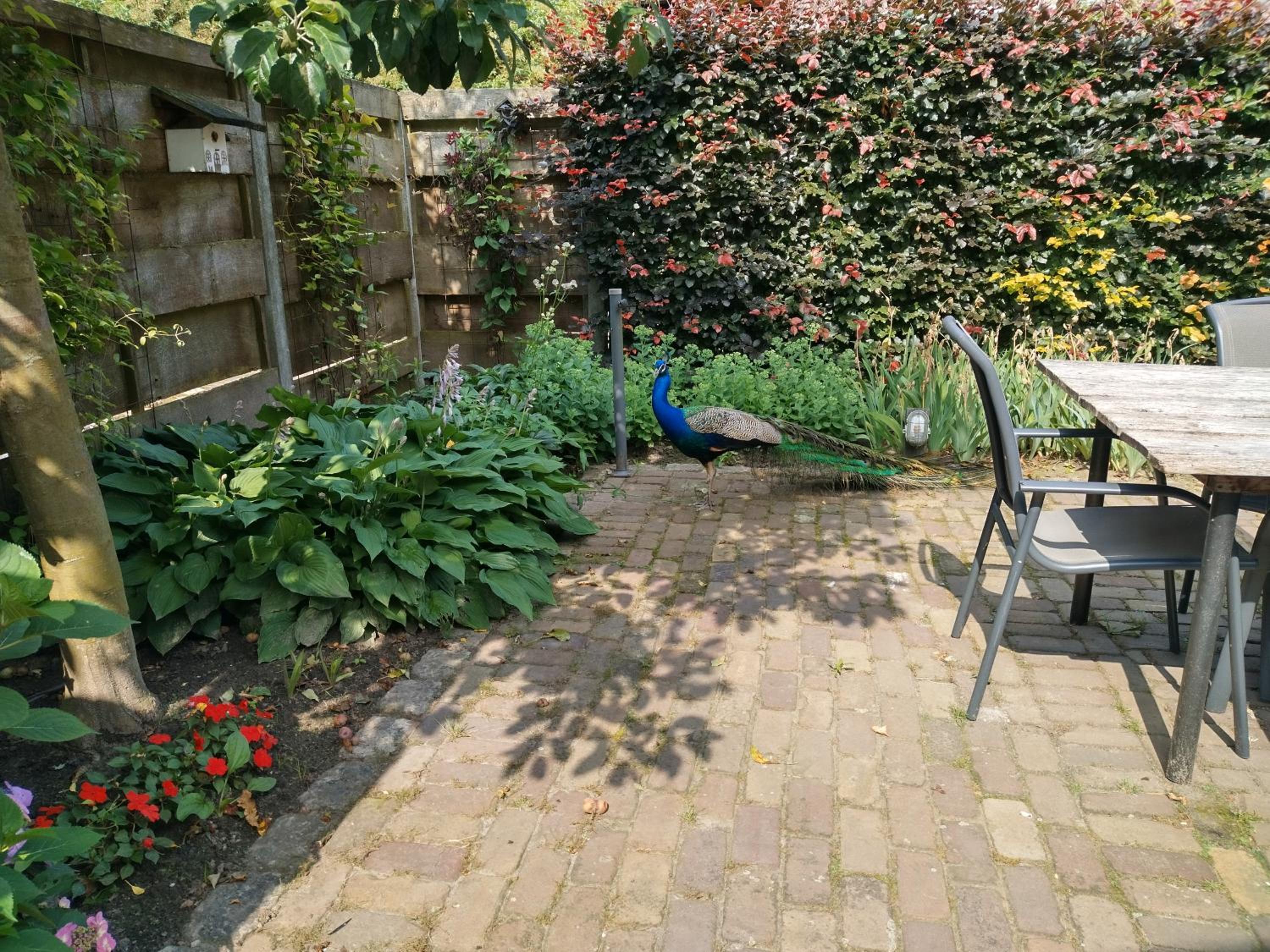 Photo 41