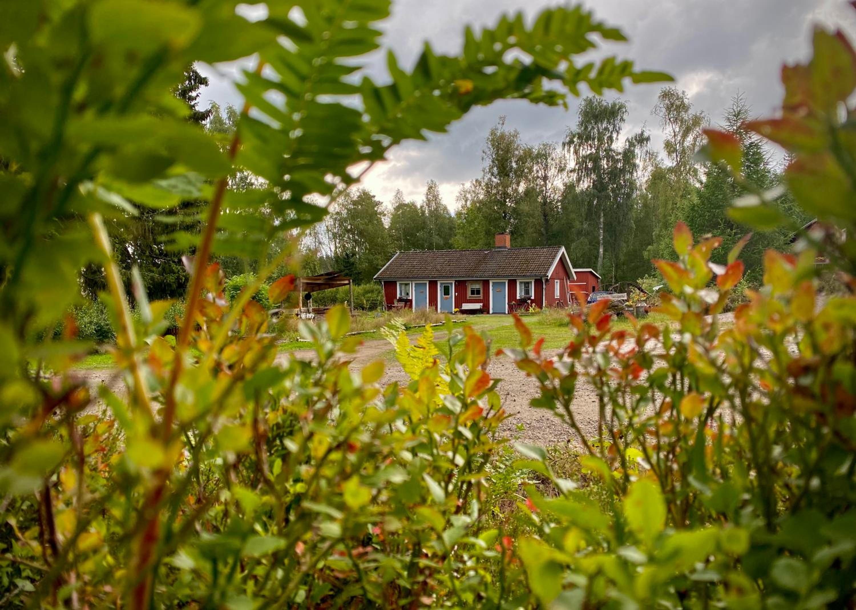 Ekologiska Fru Gran B&B i Tiveden
