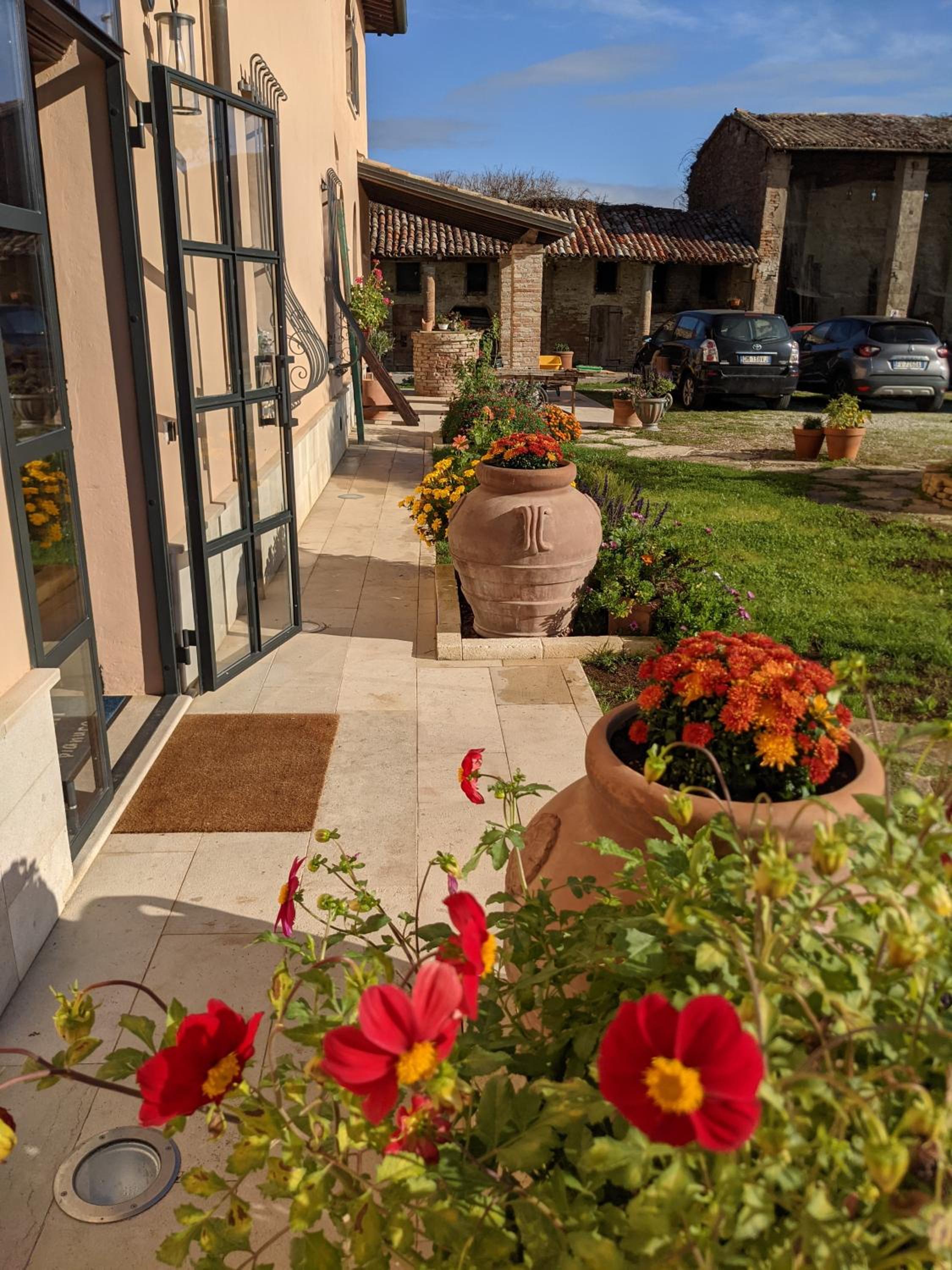 Photo 21