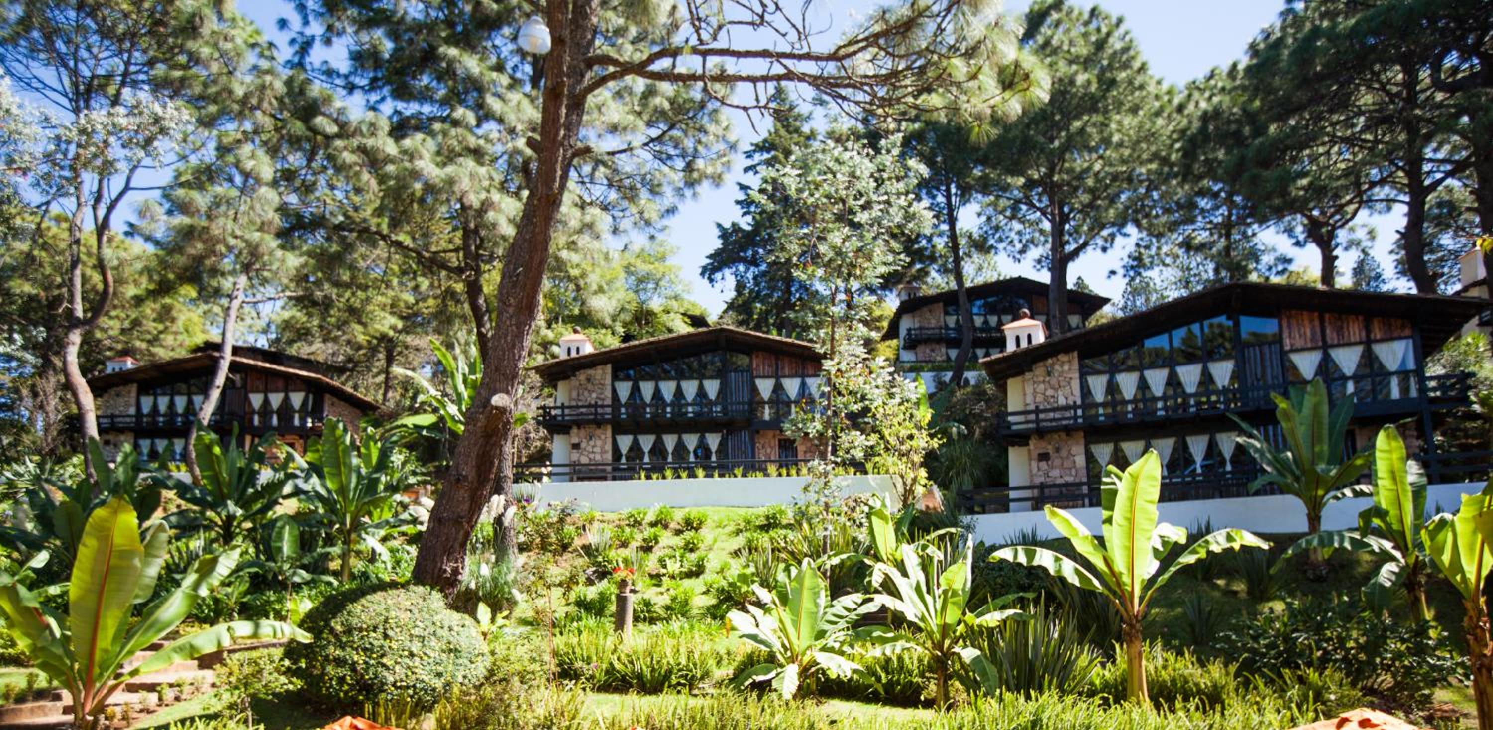 Hotel Monteverde - Image 1