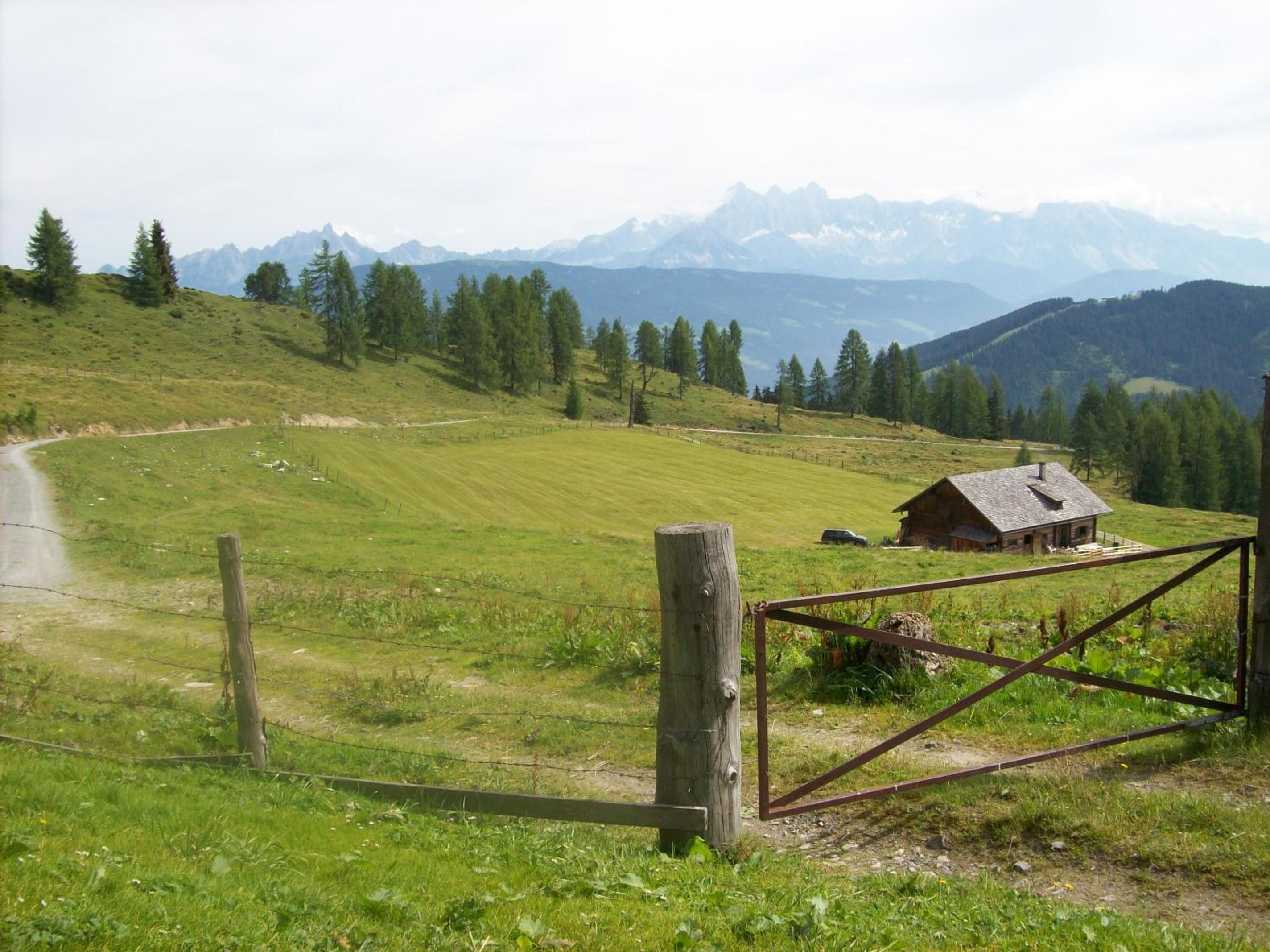Photo 44