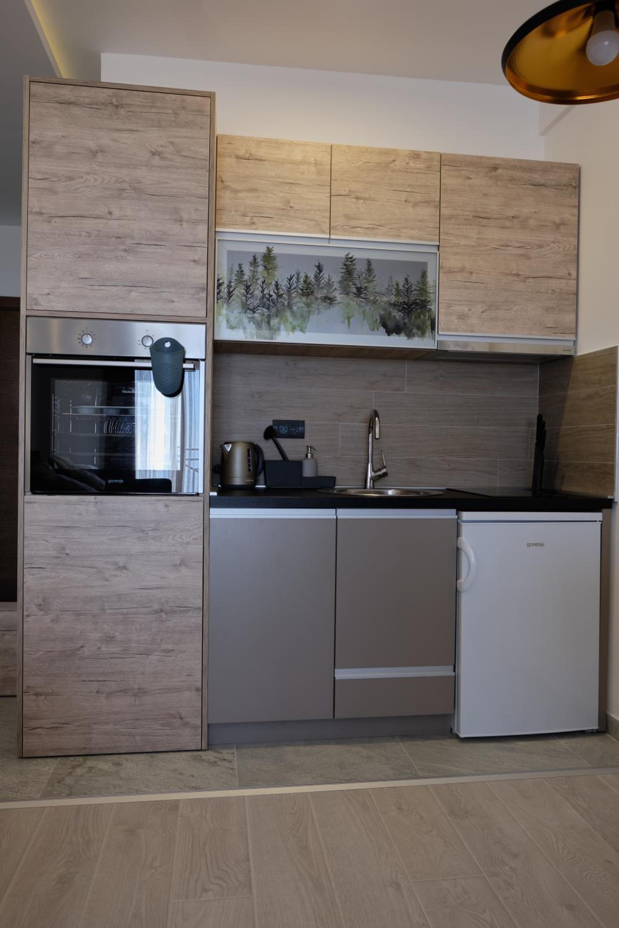 Ski & Spa Apartment N34 Milmari Resort Kopaonik