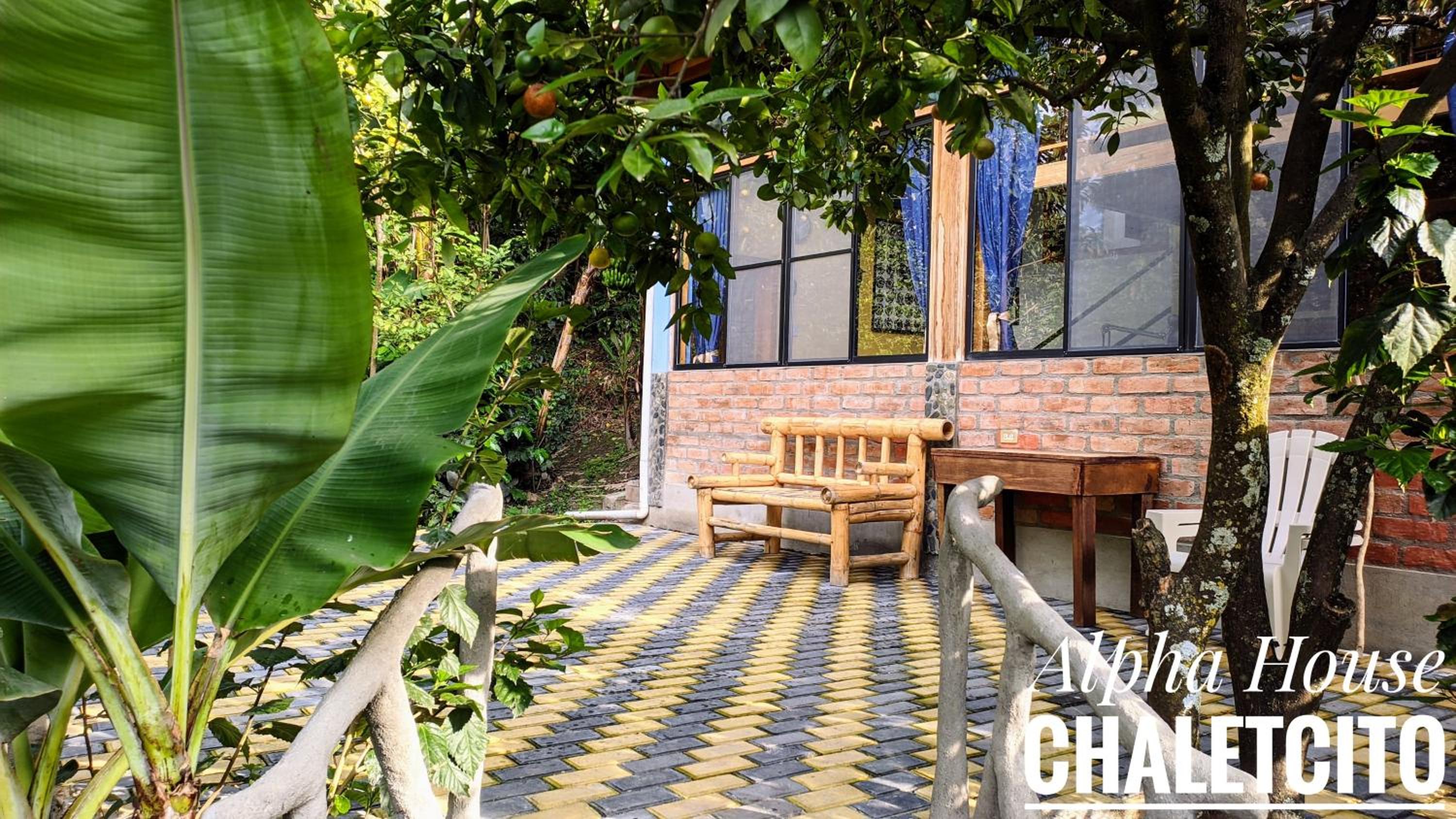Photo 33