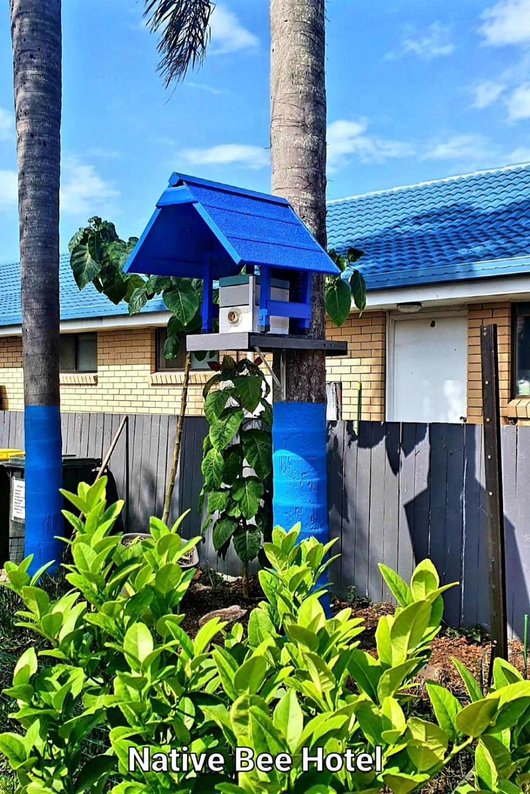 Surf Beach Motel Tweed