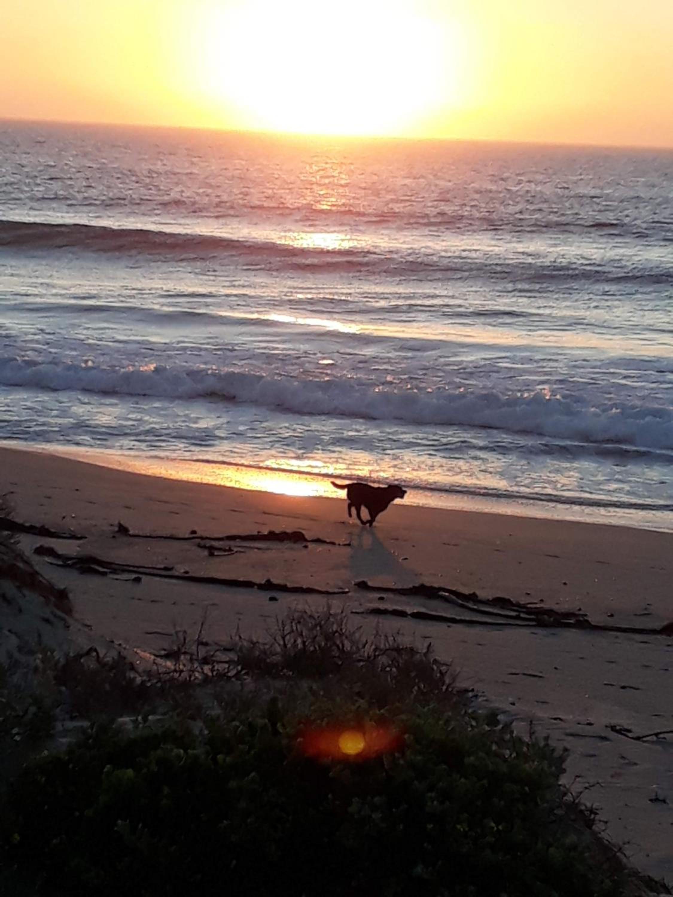 Beachway on Golden Mile