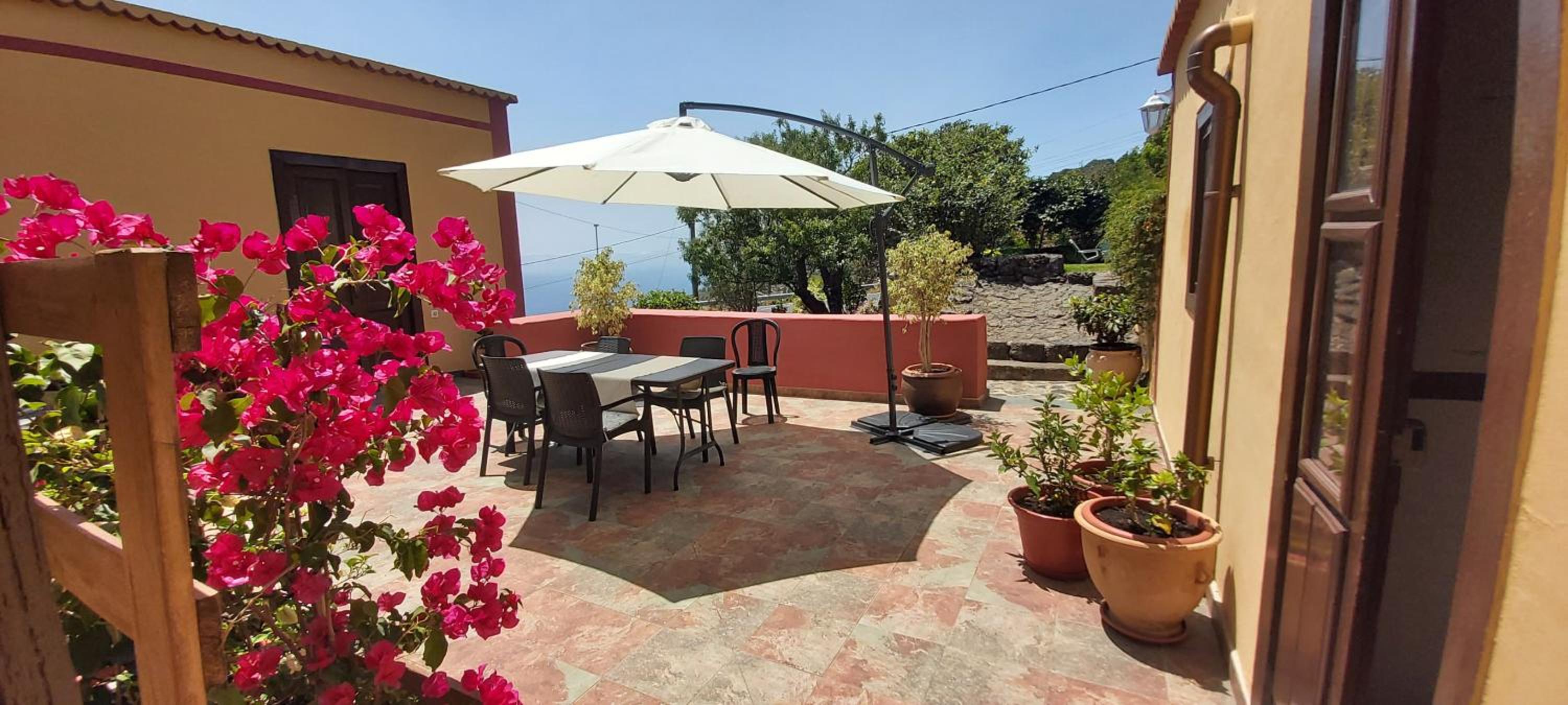 LA FAYA view 2