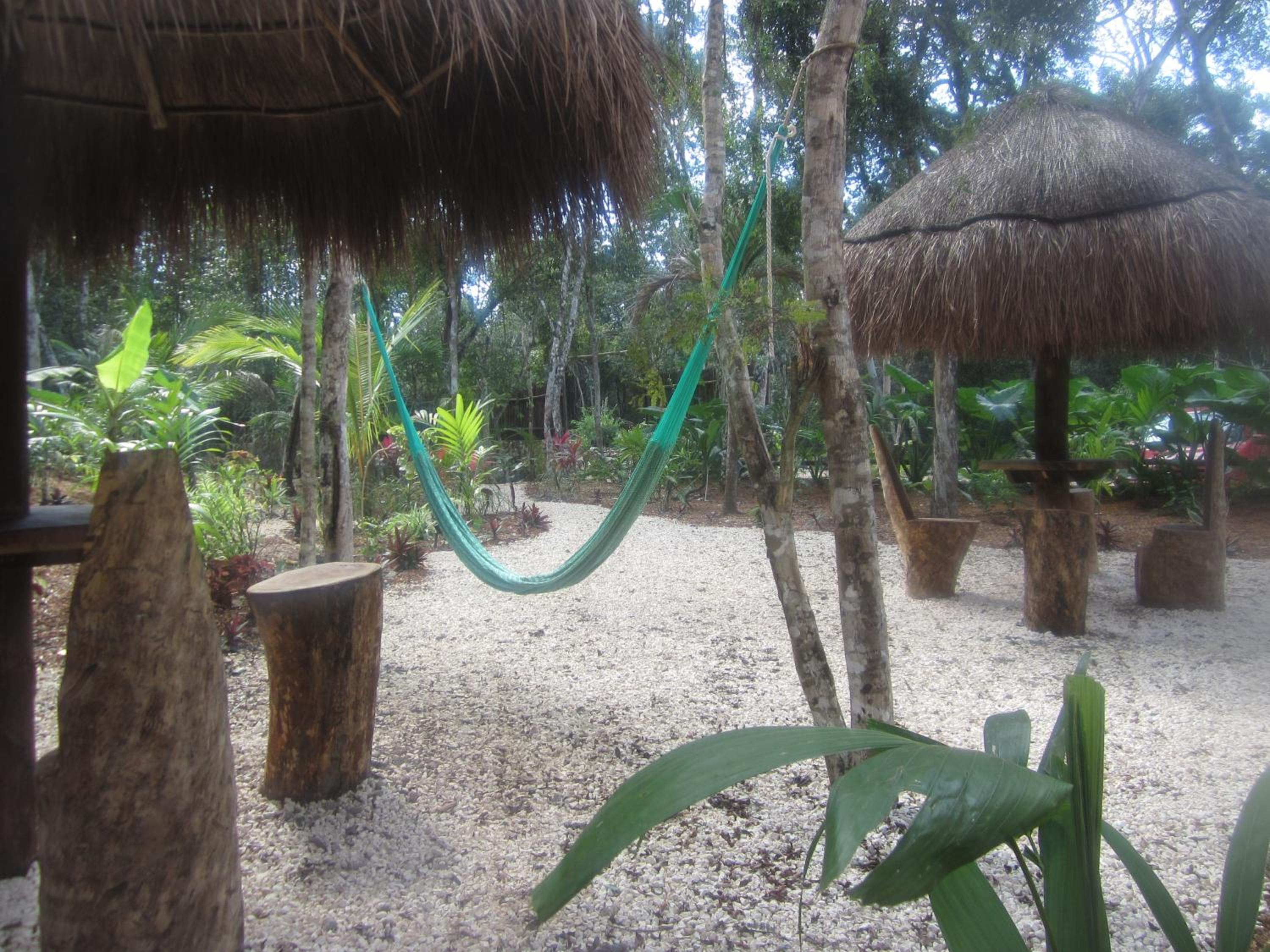 Casa Mango