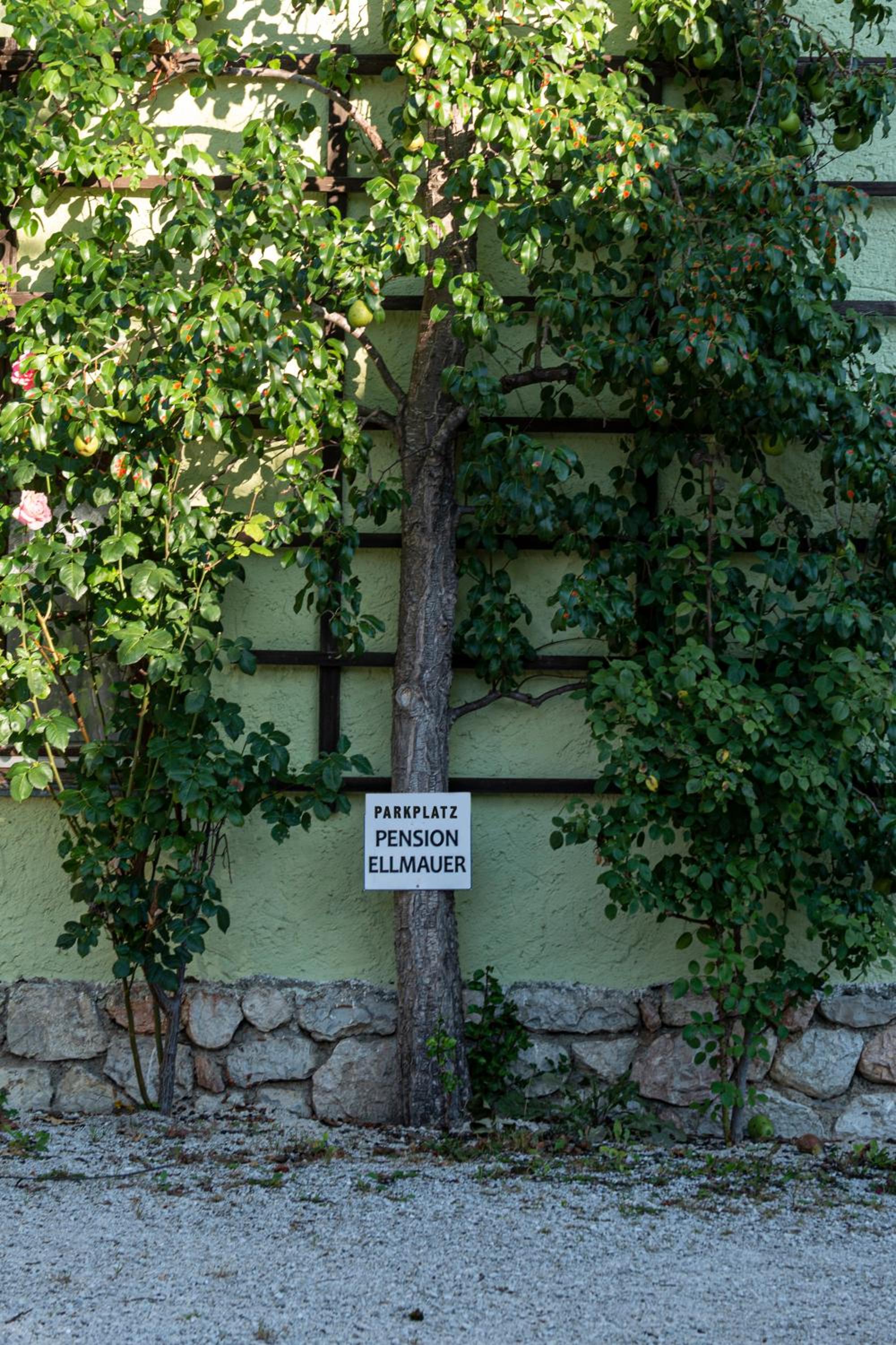 Aberseeblick Pension Ellmauer