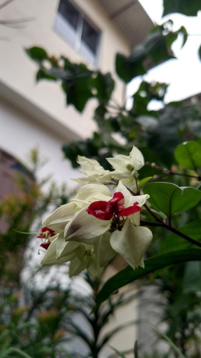 Suites Pico do Cristal