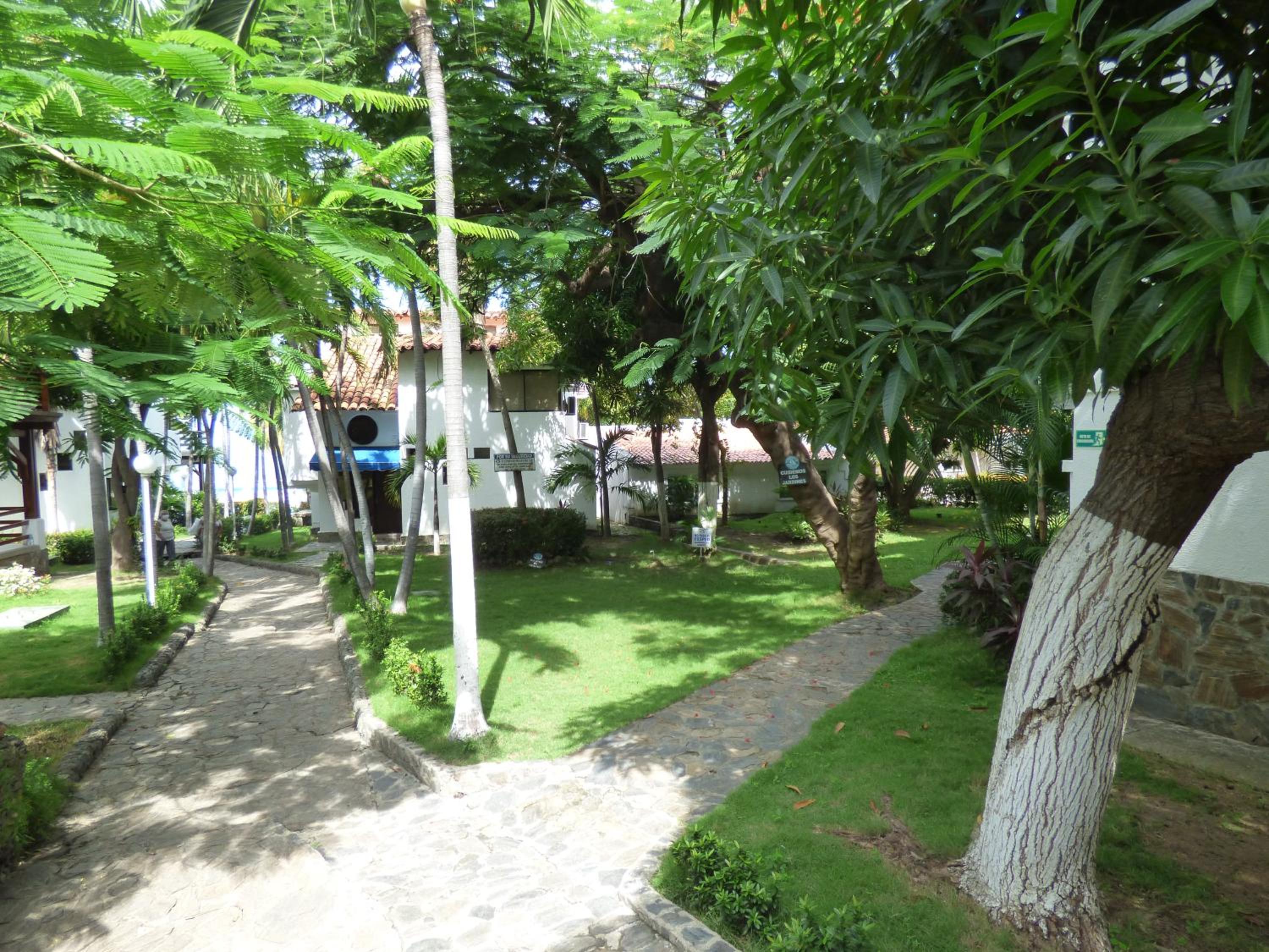 Photo 33