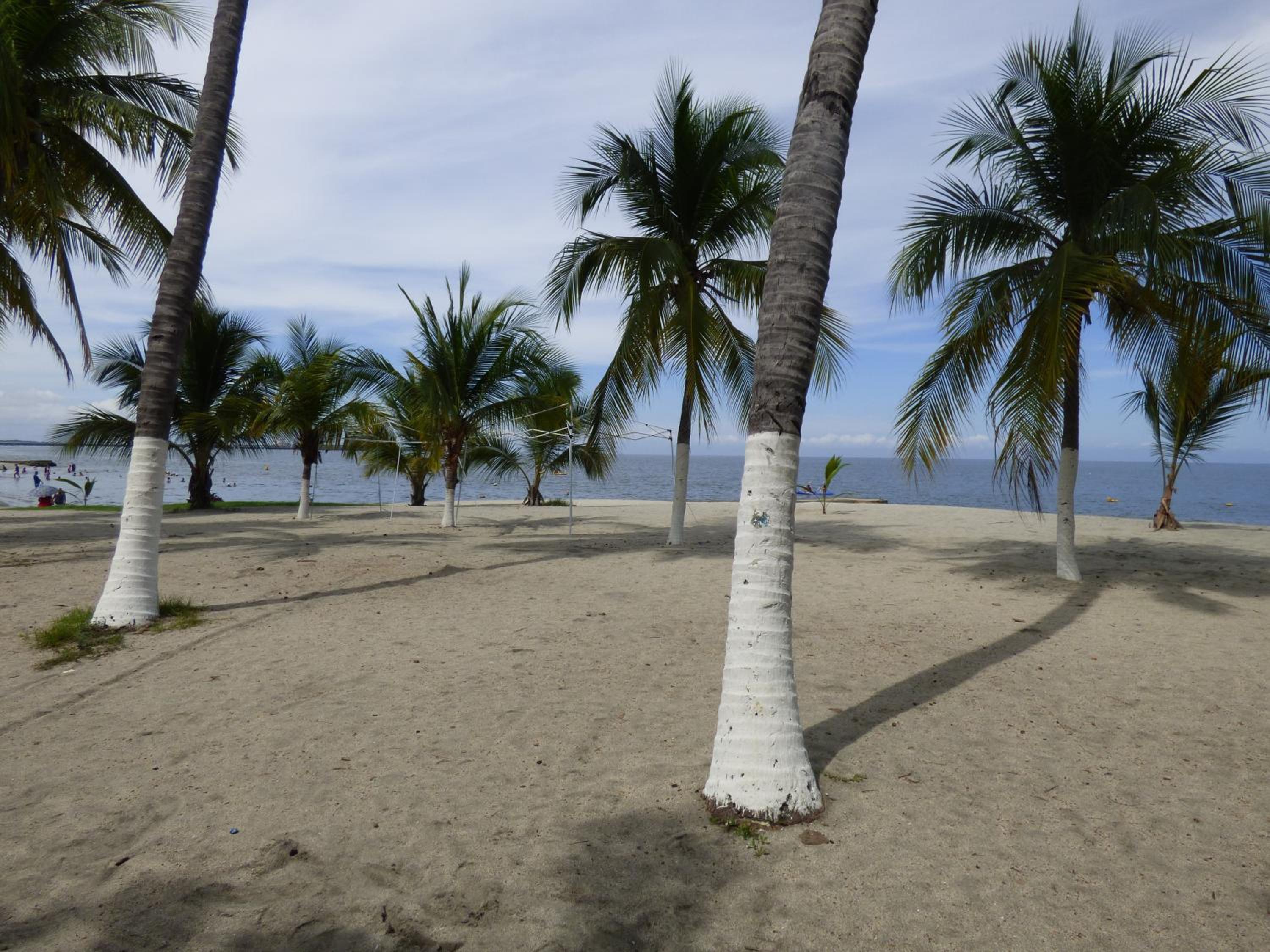 Photo 41
