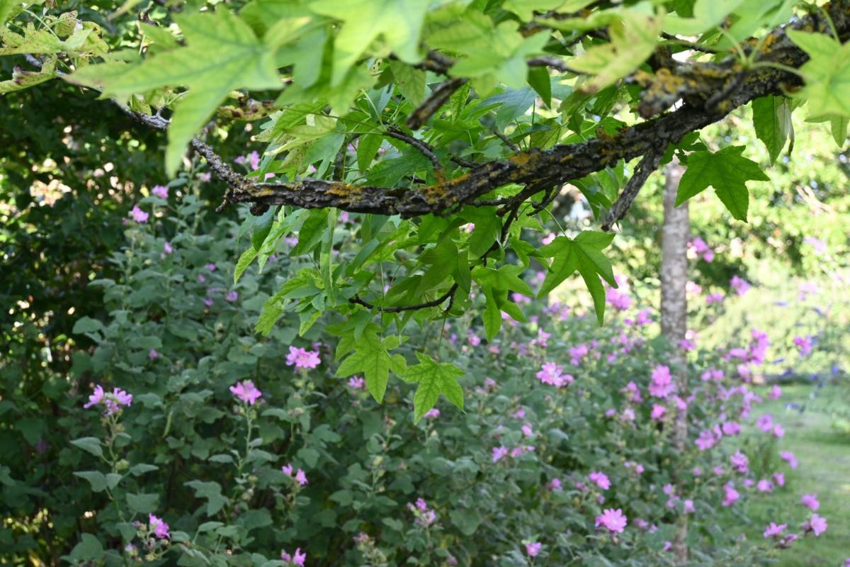 Photo 38