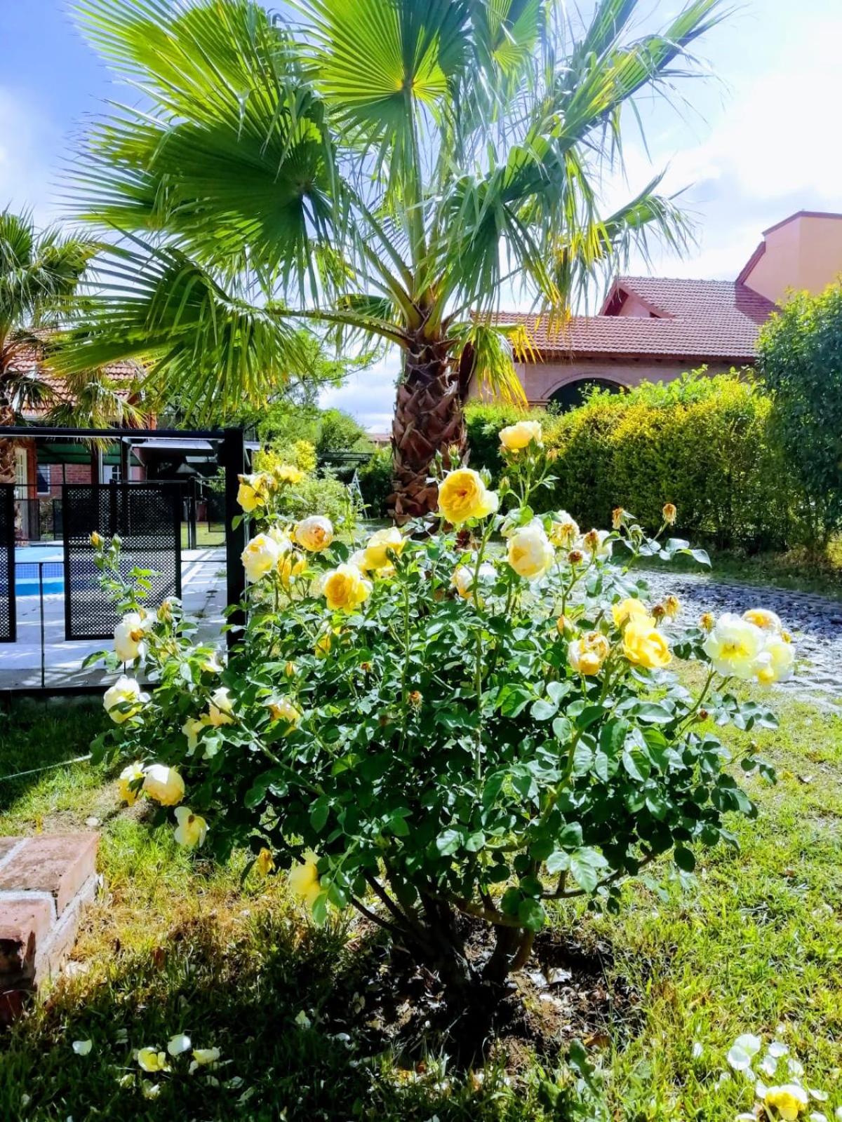 Casa MERLITO - PISCINA DE USO EXCLUSIVO - HERMOSAS VISTAS A LAS SIERRAS -VILLA DE MERLO - SAN LUIS
