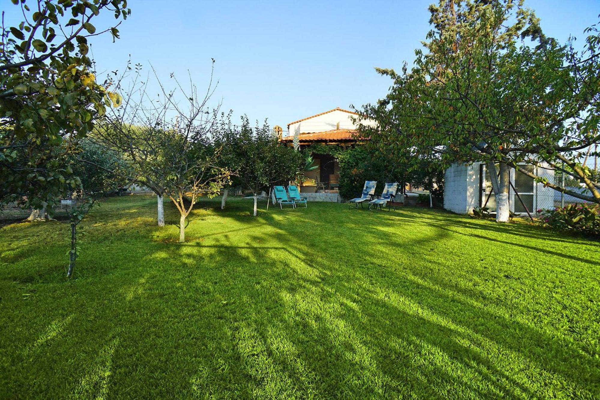 Photo 47