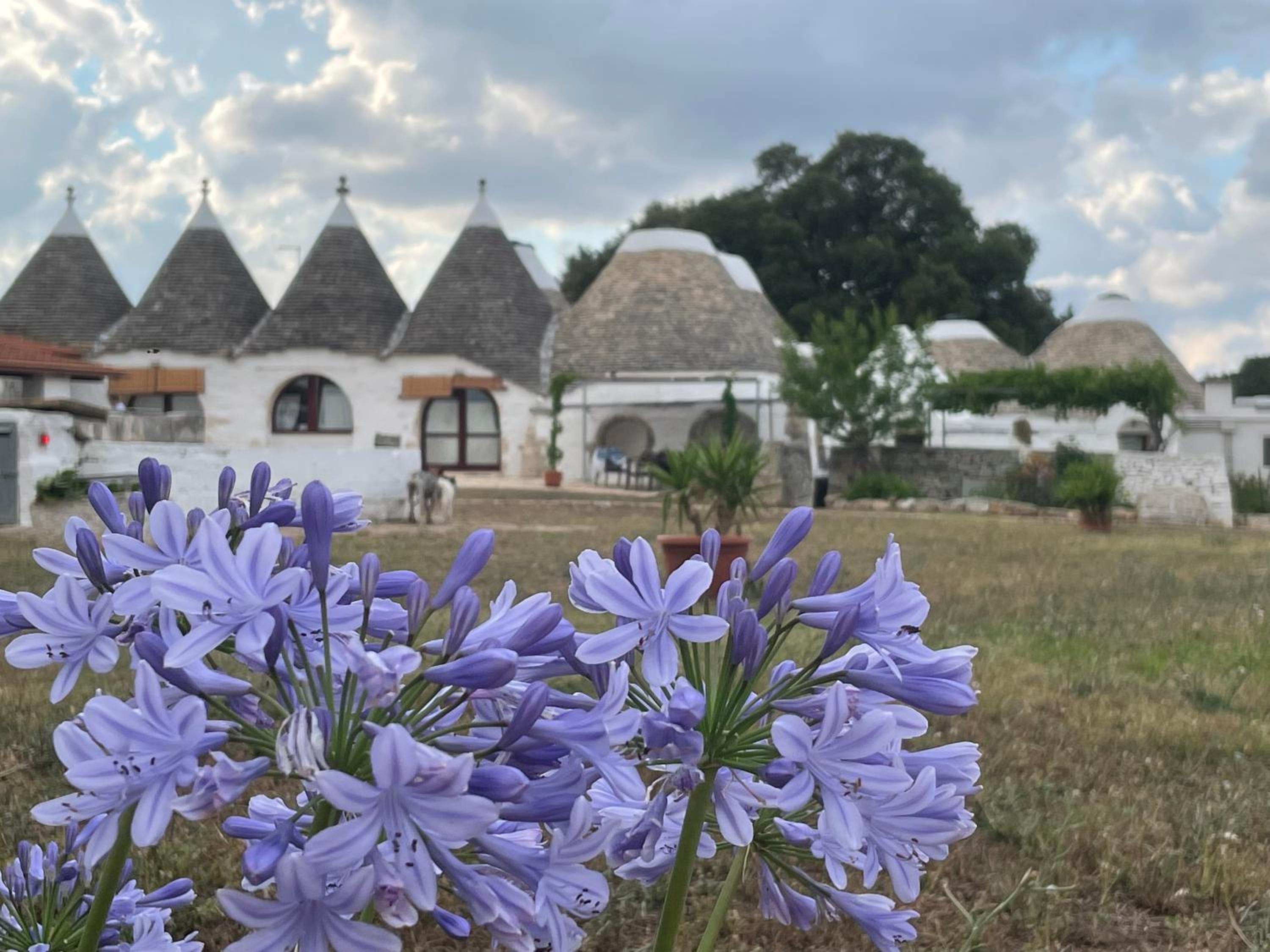 Masseria Ferri