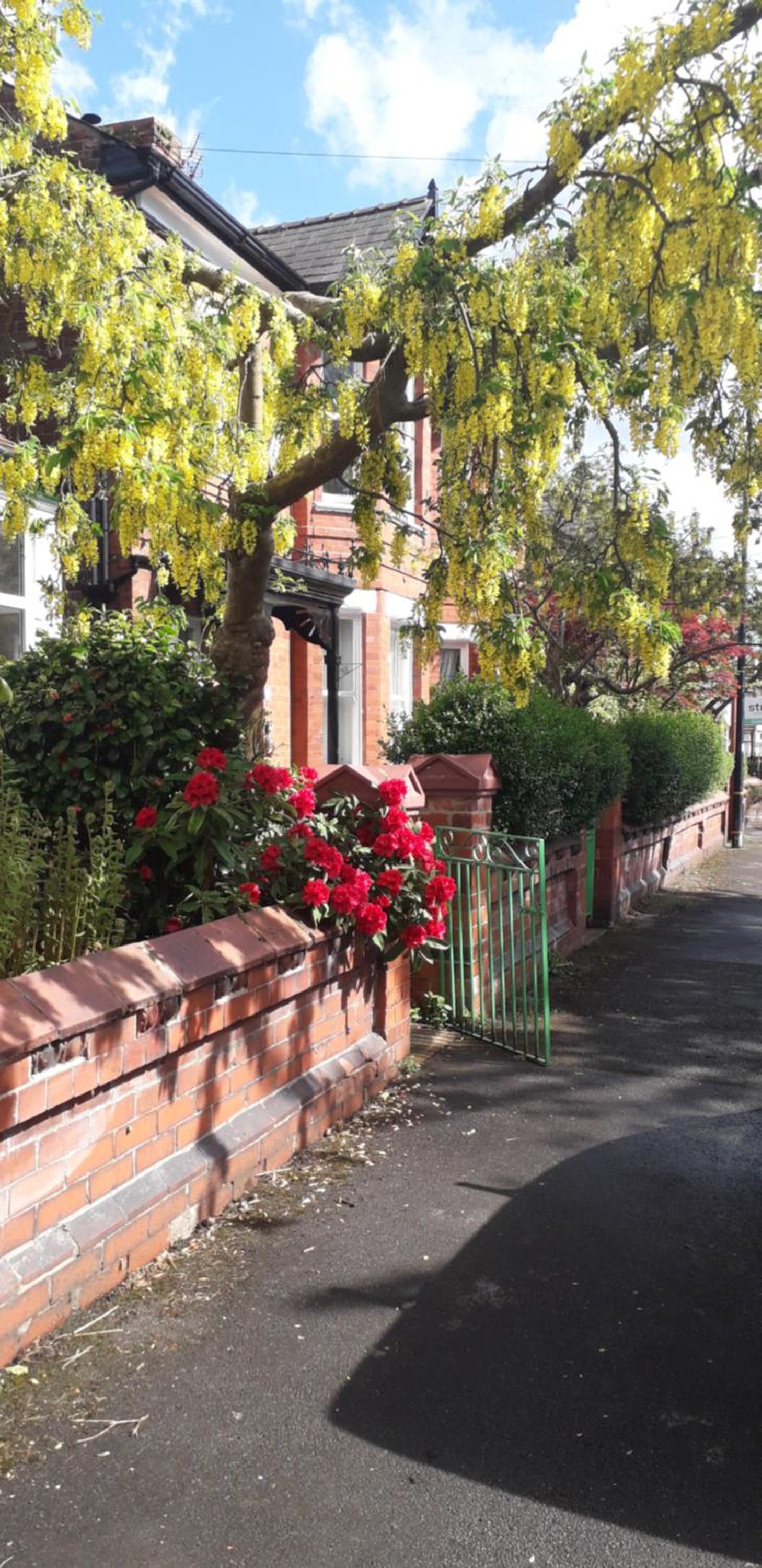 Bird Song Guest House Old Trafford view 3
