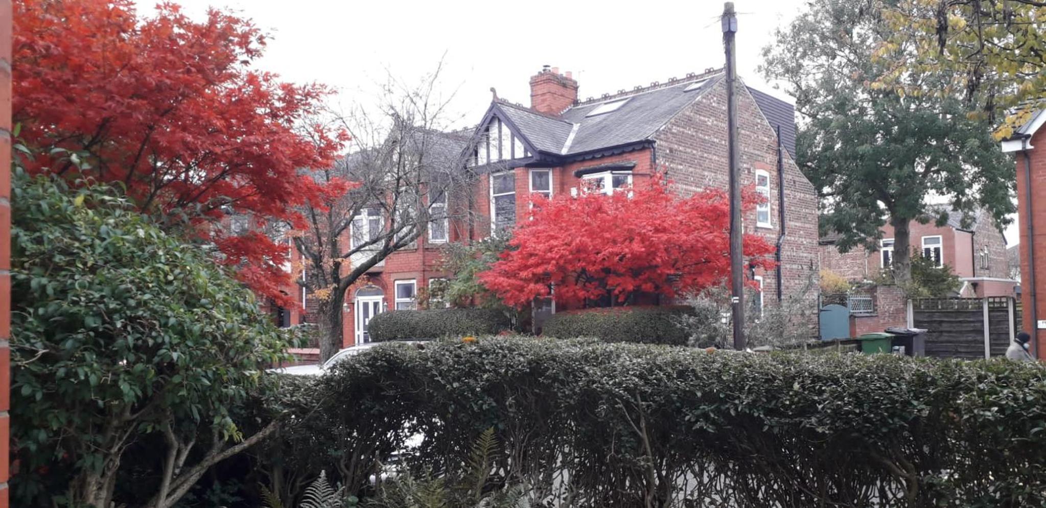 Bird Song Guest House Old Trafford view 4