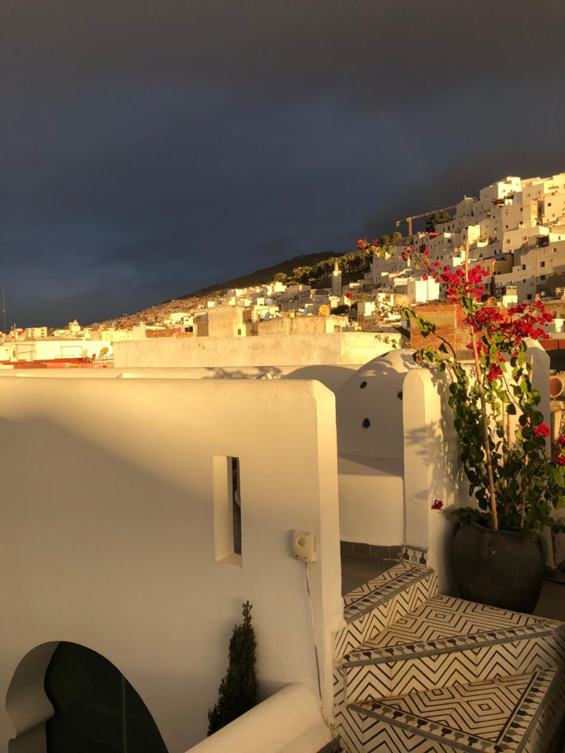 roof