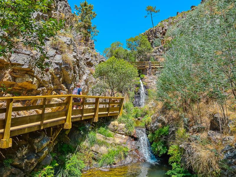 Photo 135