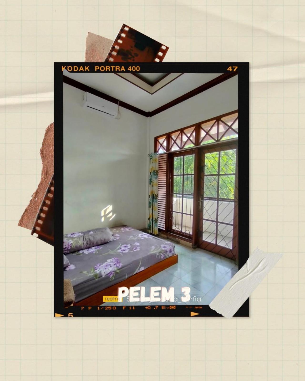 OPY-PELEM 1 view 3