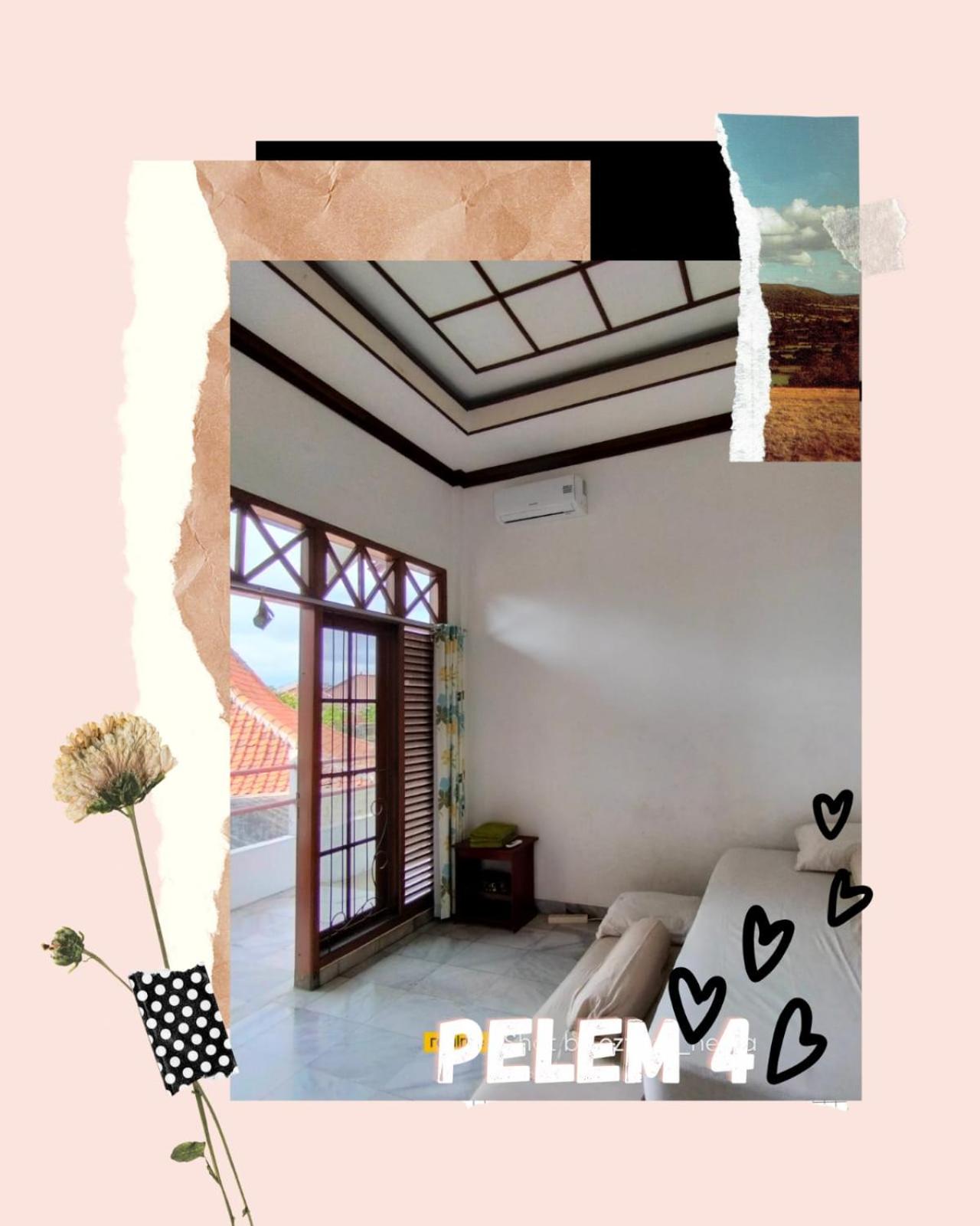 OPY-PELEM 1 view 4
