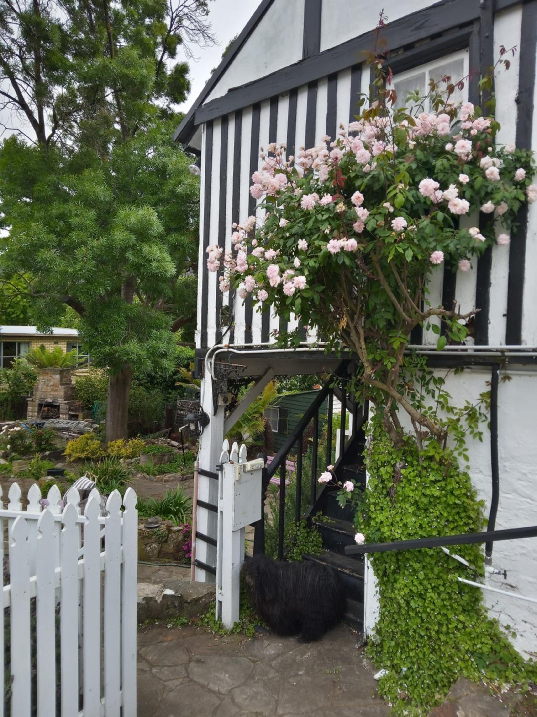 Old Colony Inn