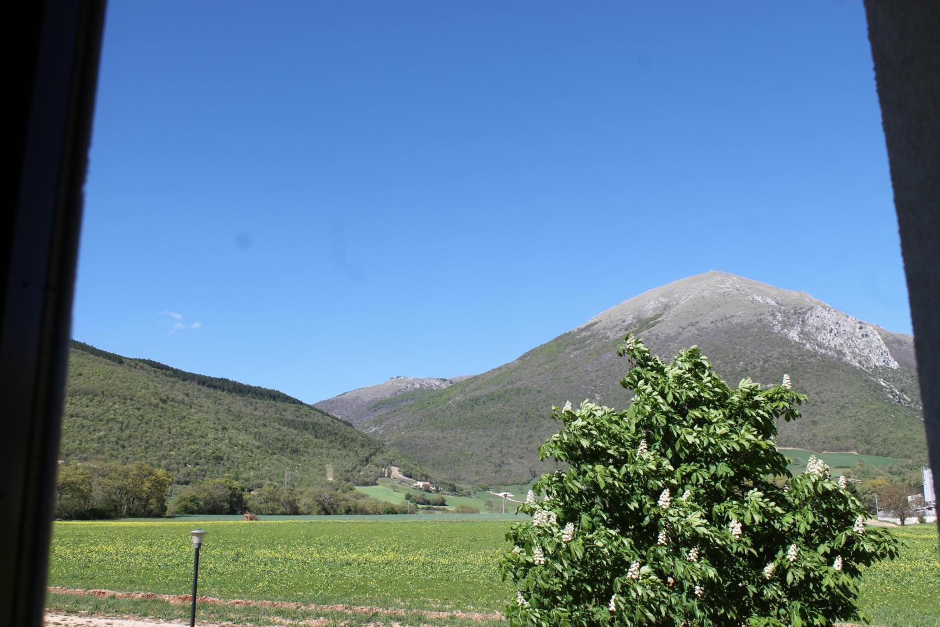 Photo 44