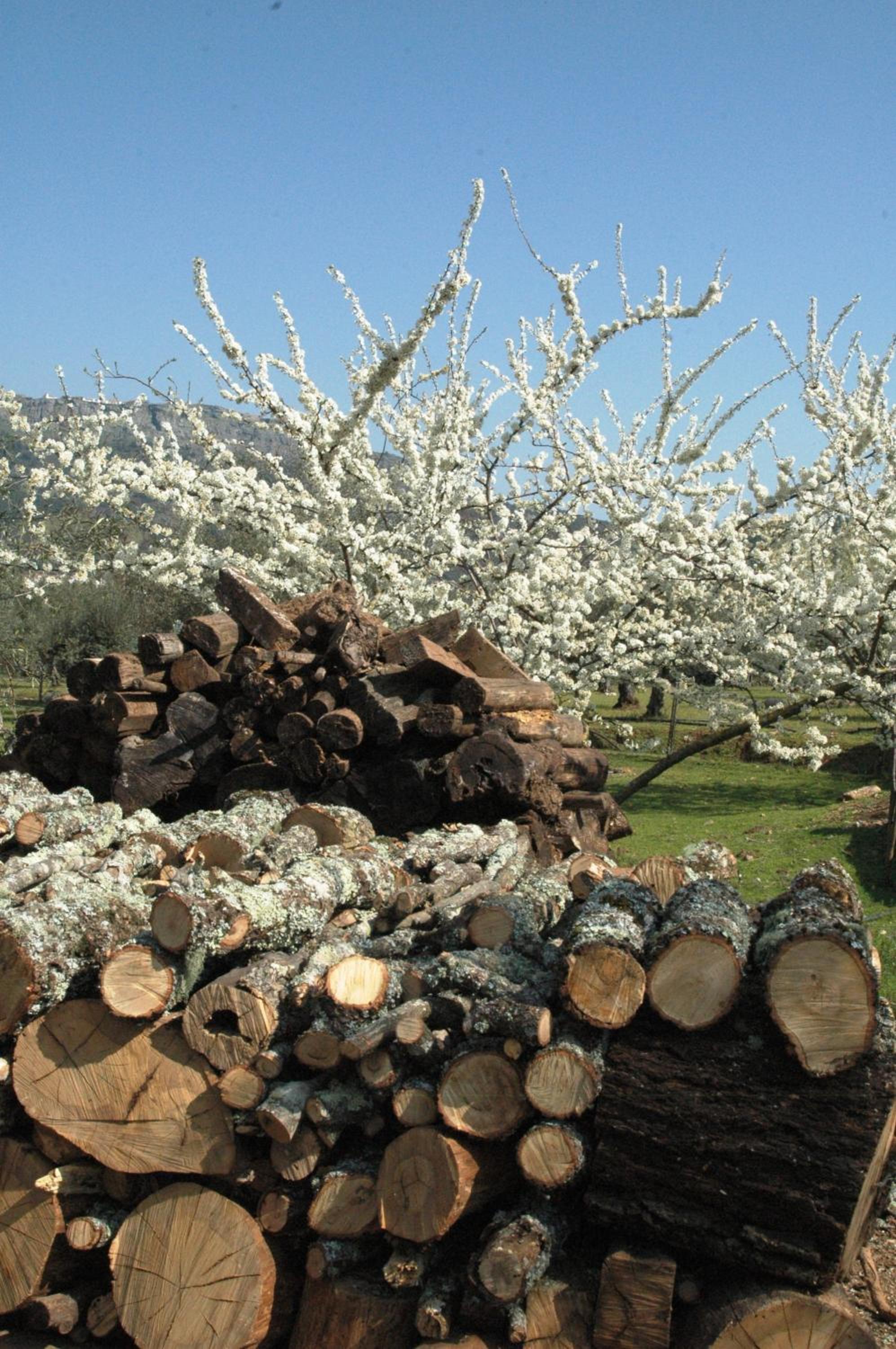 Quinta Do Vaqueirinho - Agro-Turismo