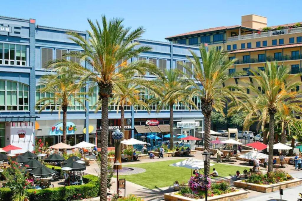 Posh home near Santana Row for vacation/business view 5