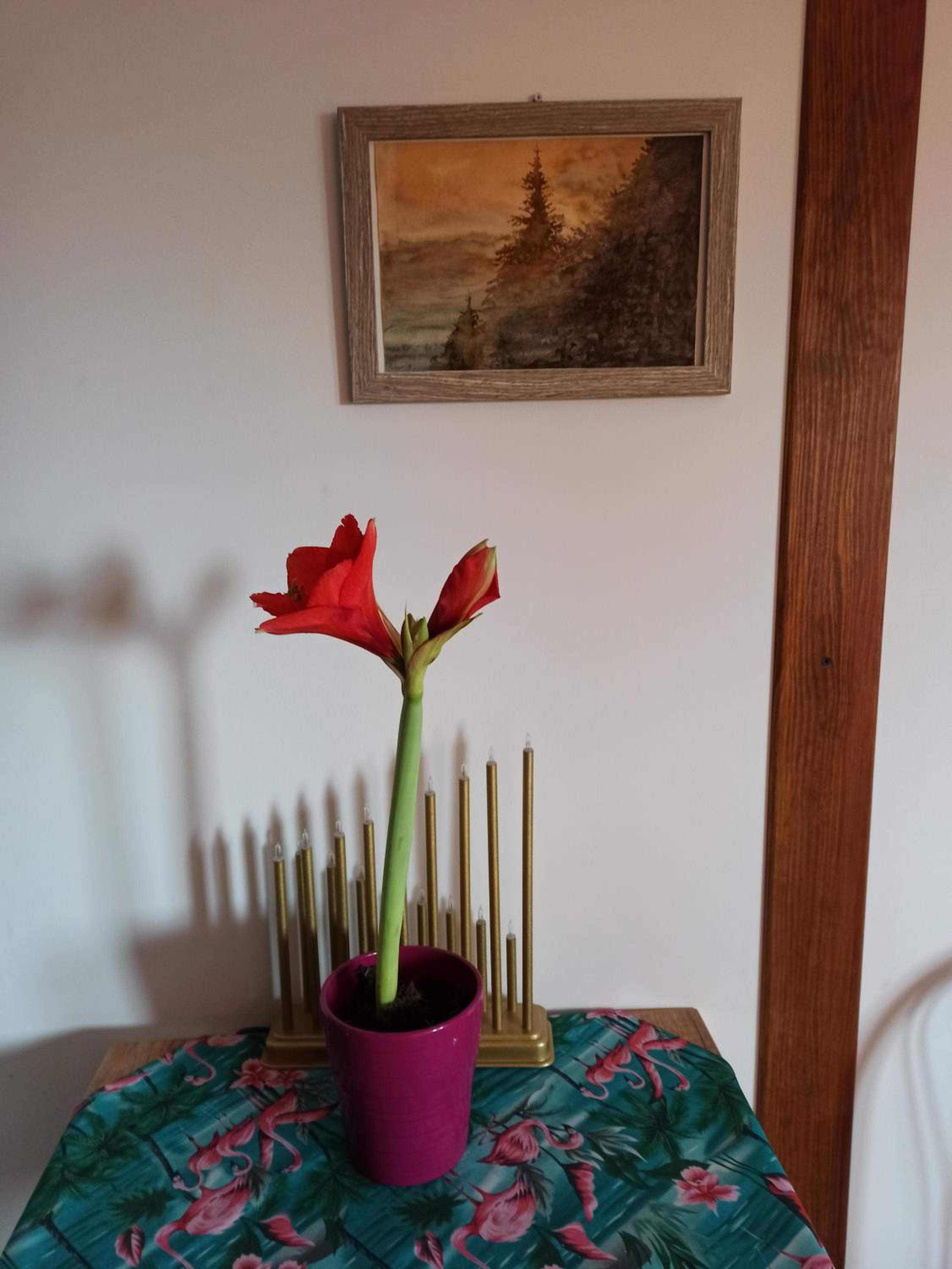 Dolina Rosy
