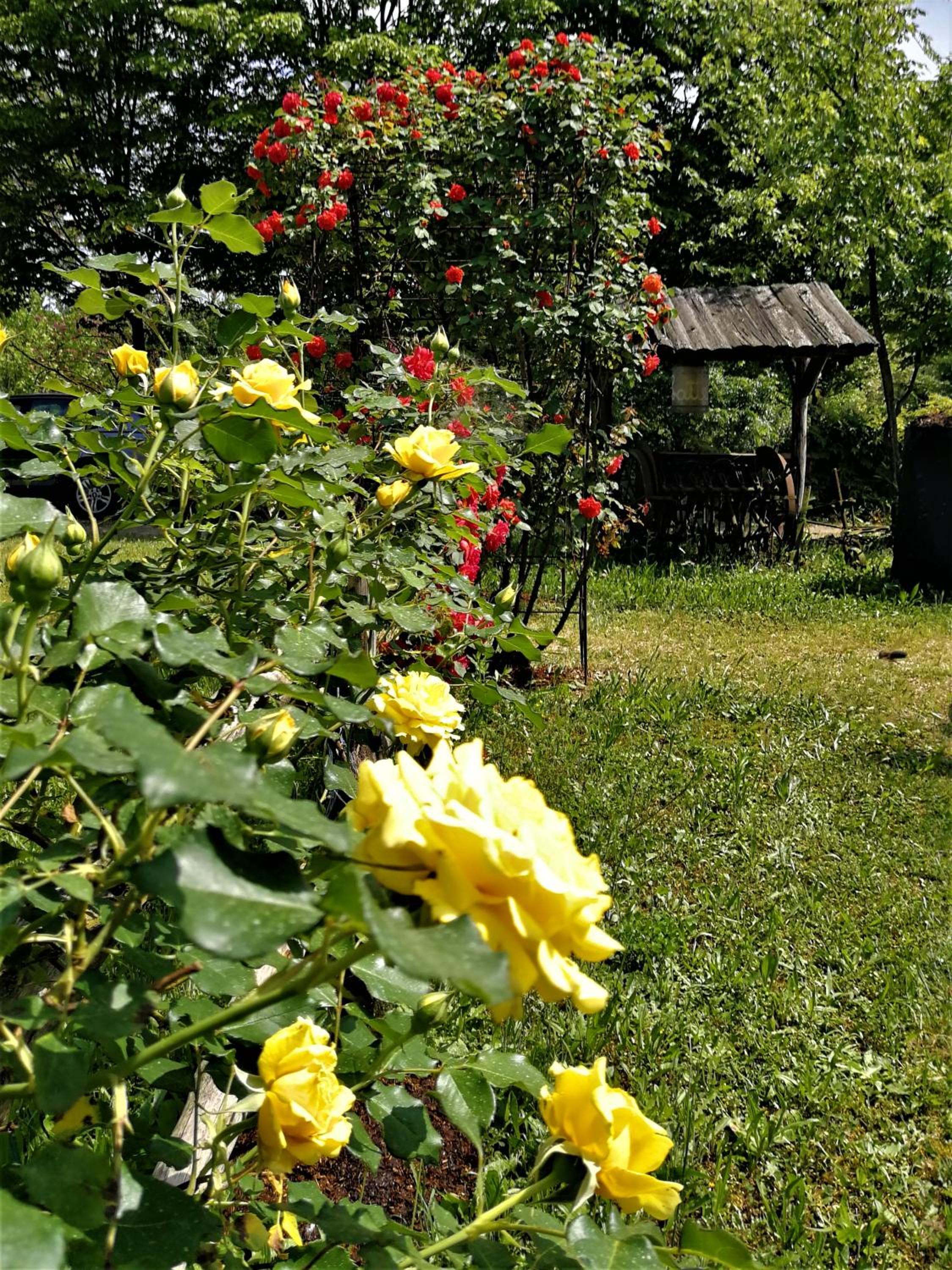 Photo 7