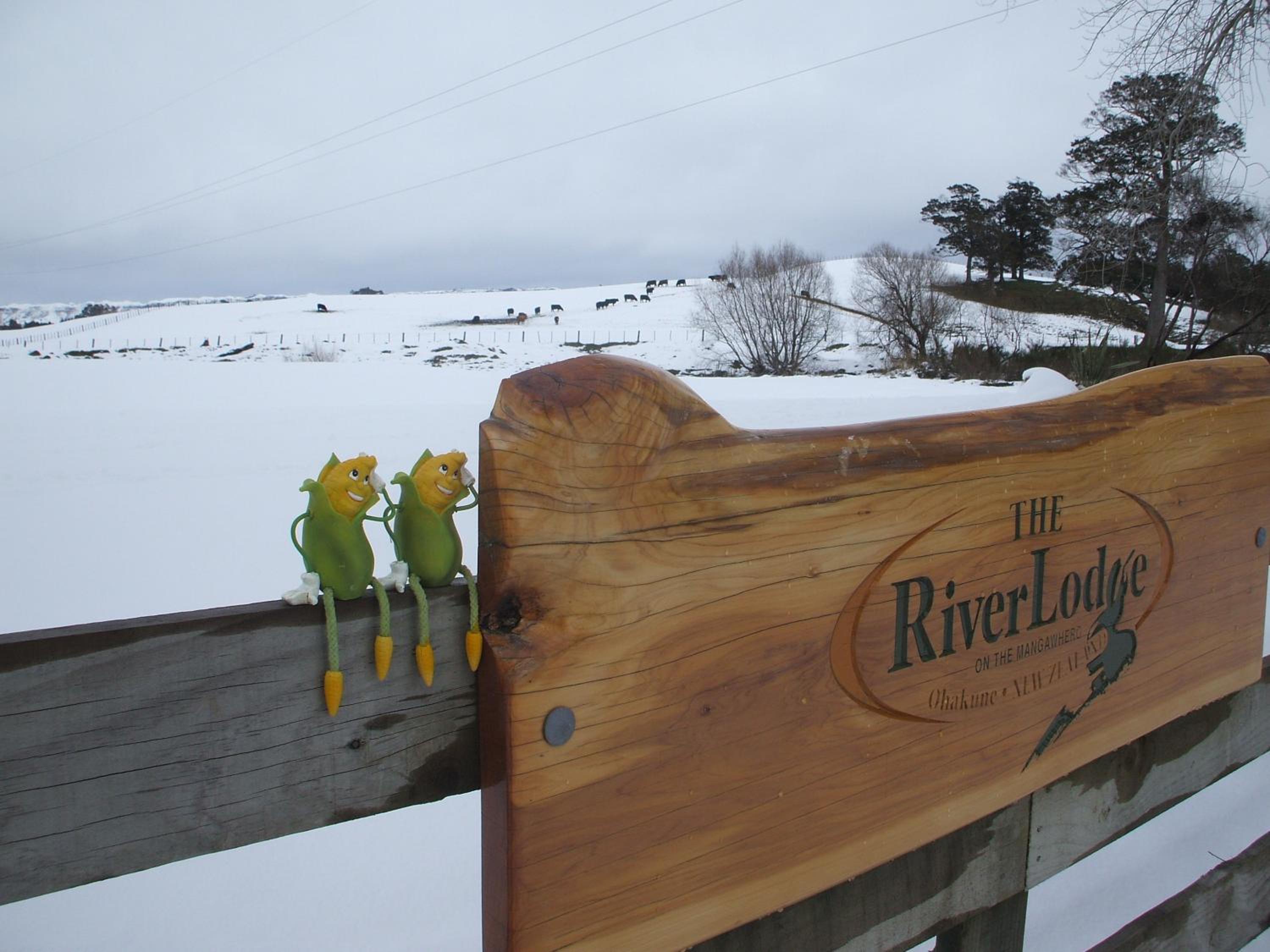 The River Lodge
