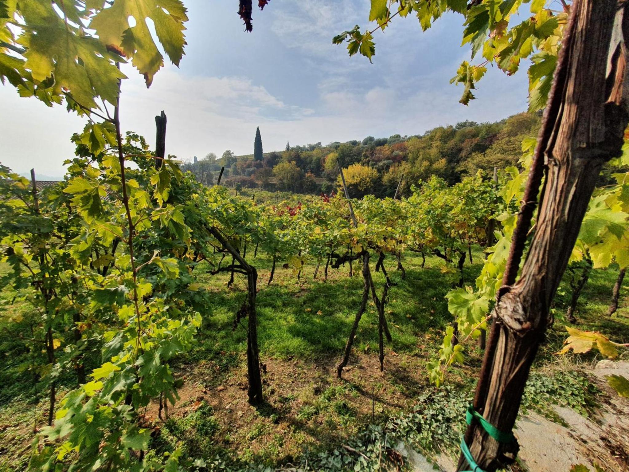 L'Antico Granaio view 3