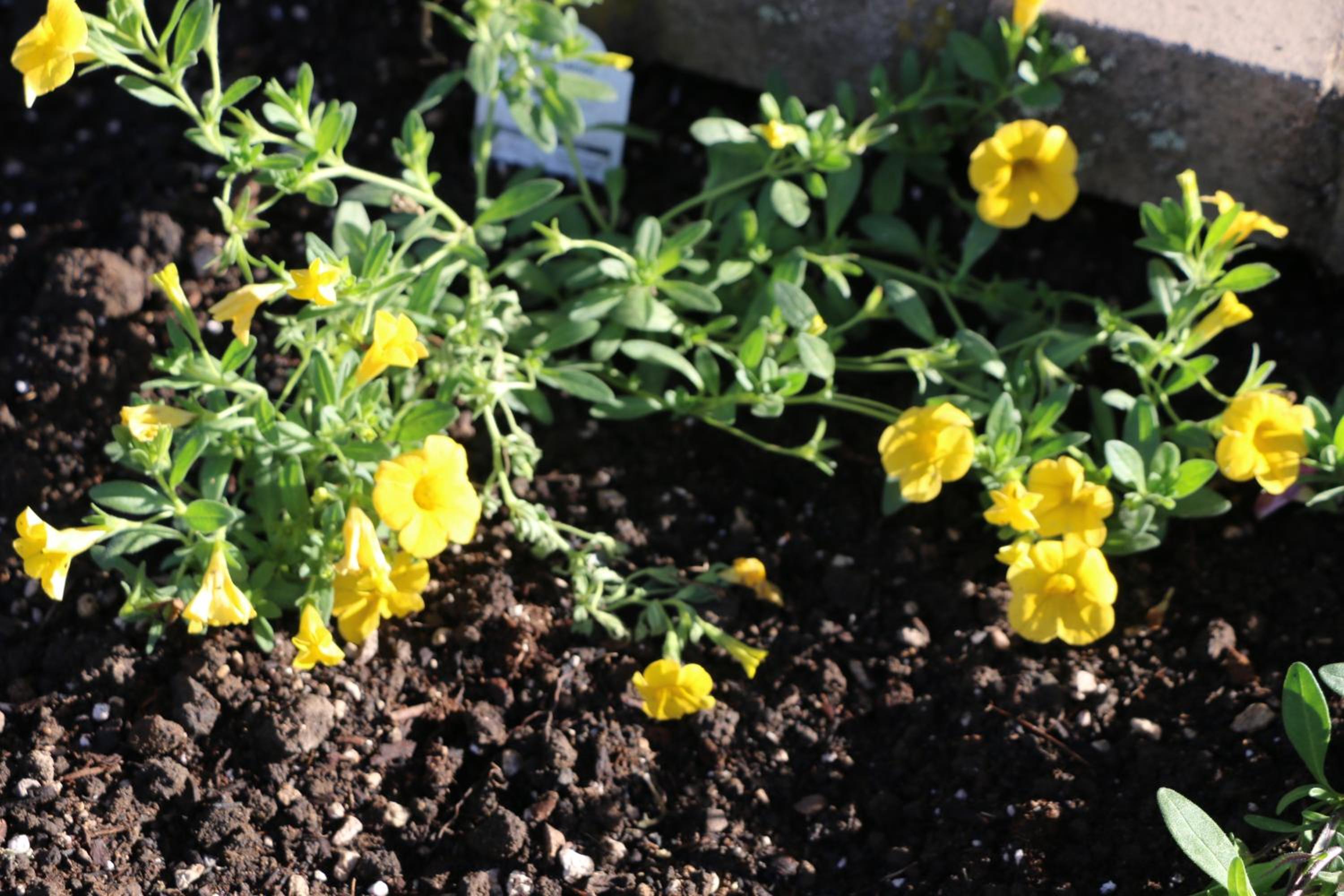 Oakland Vacations - Rice Hill Inn - Property Image 7