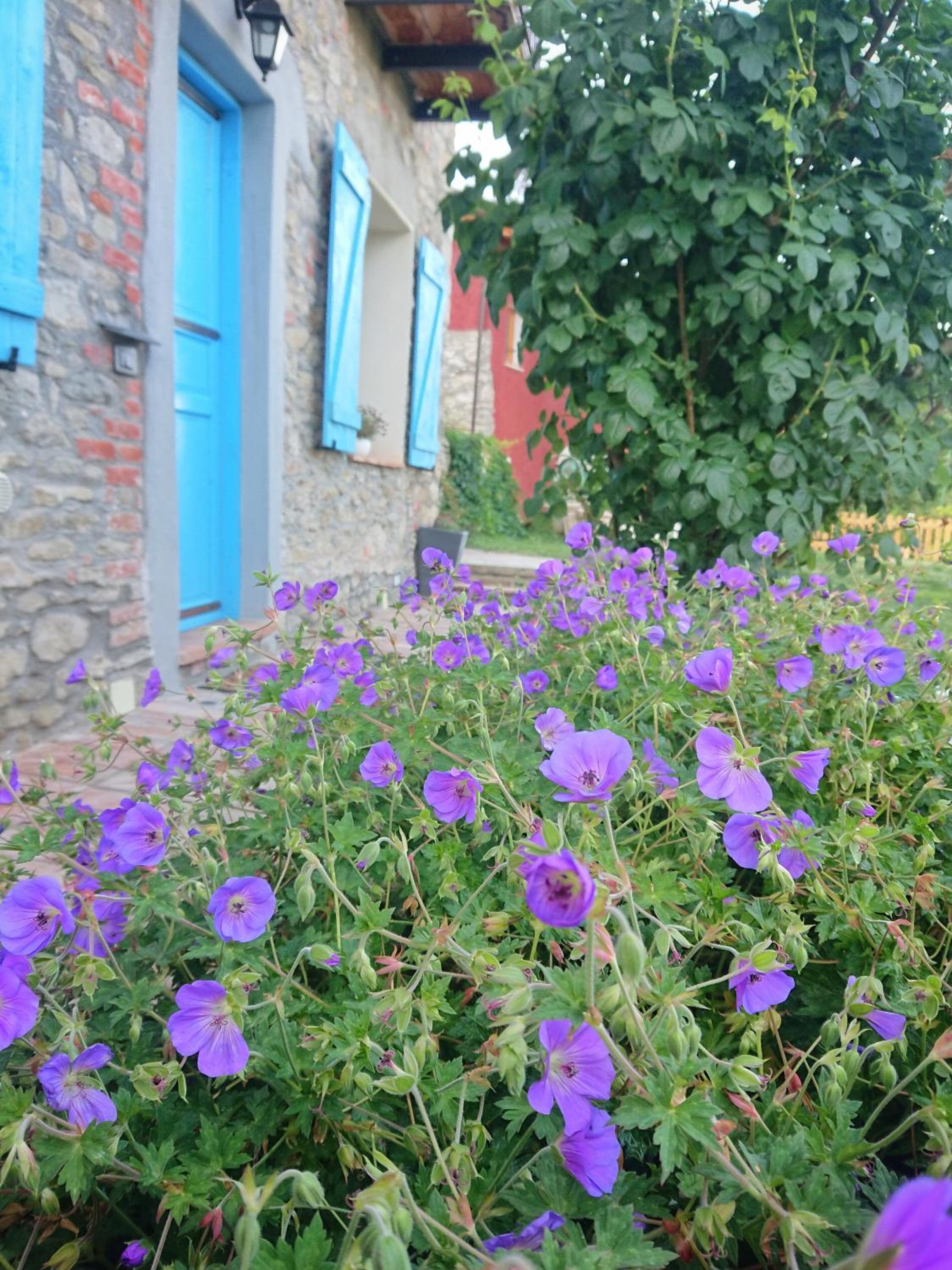 Photo 42