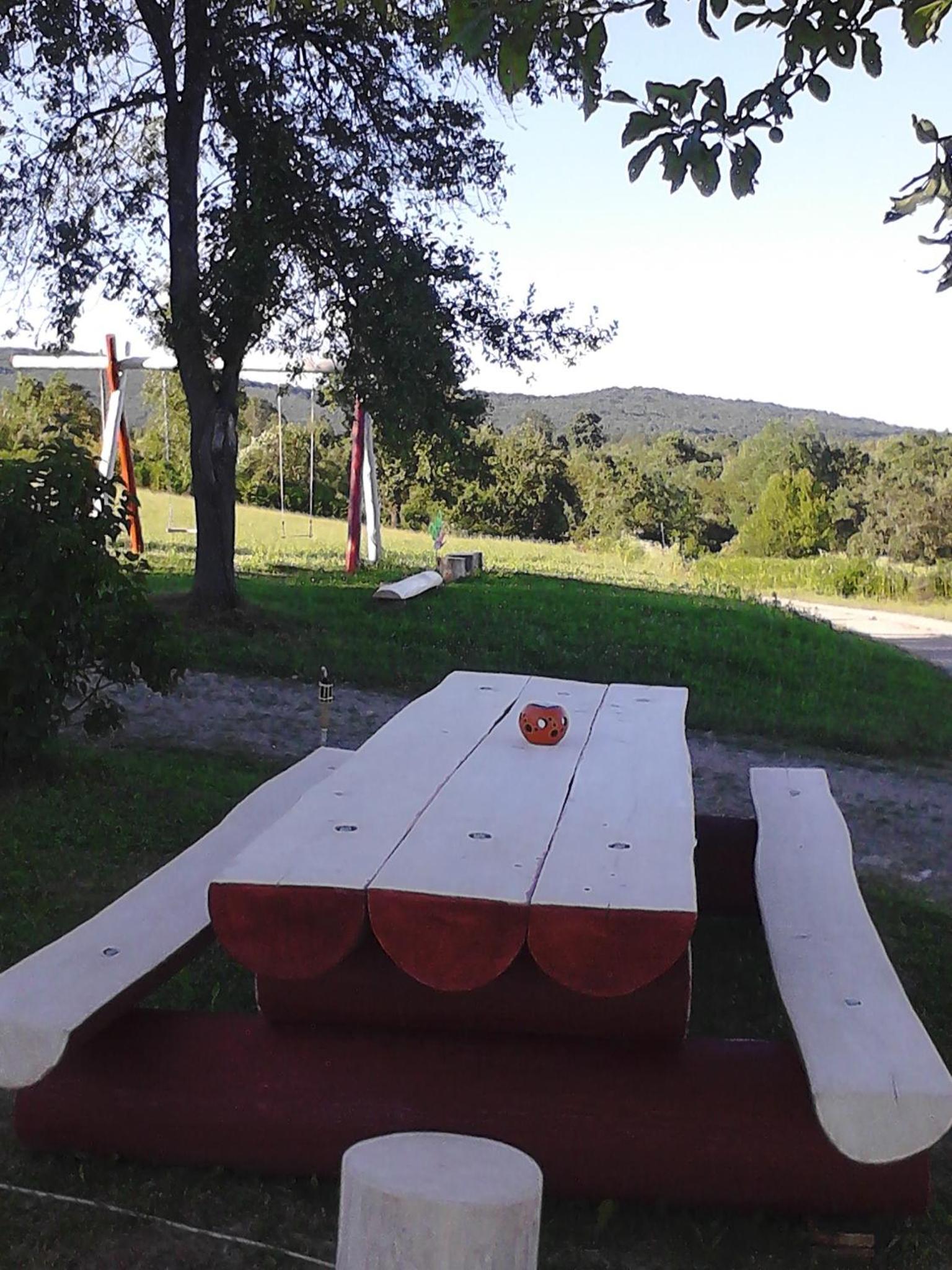 Photo 44