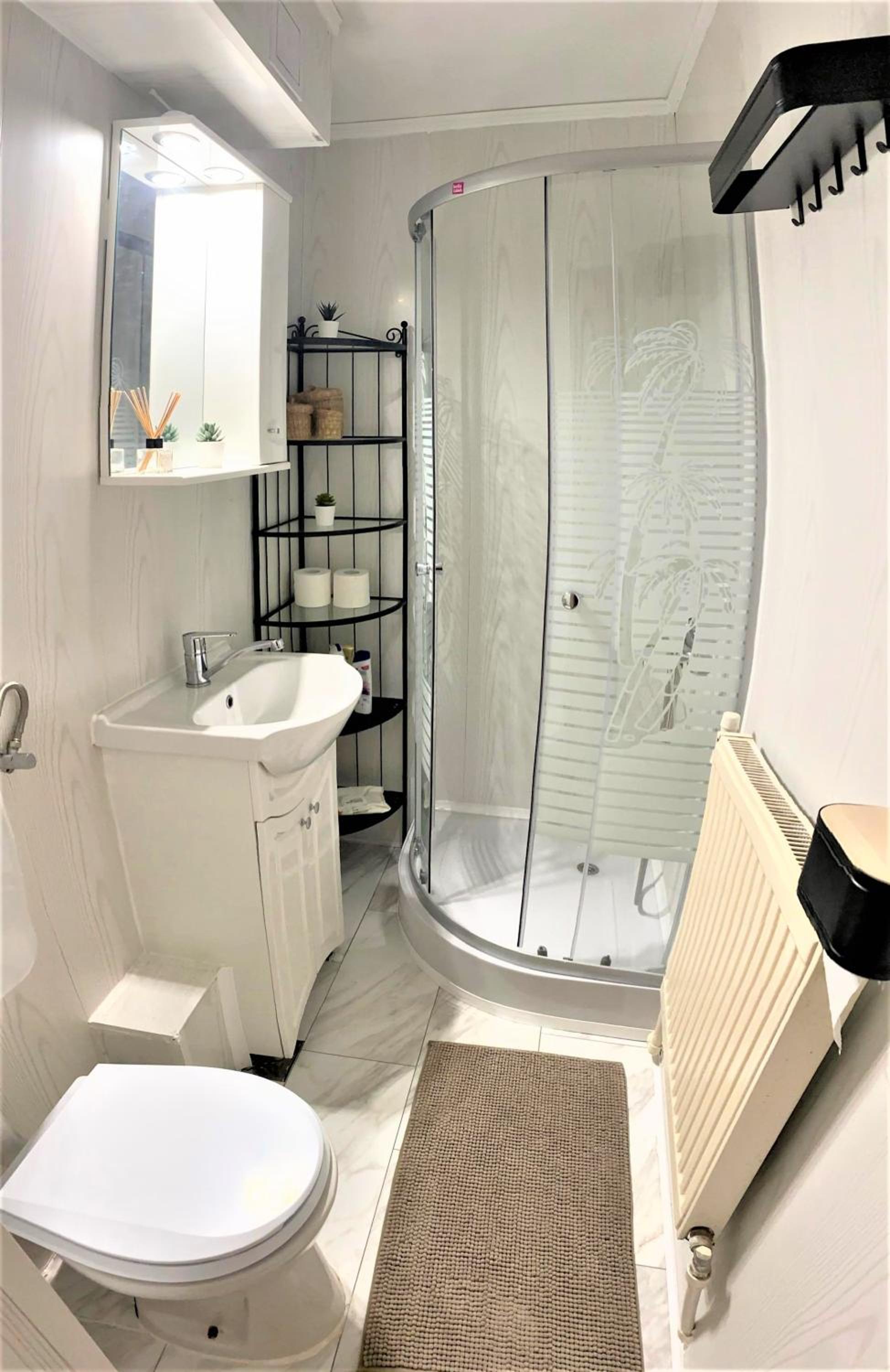 Cosy Apart Busteni view 5