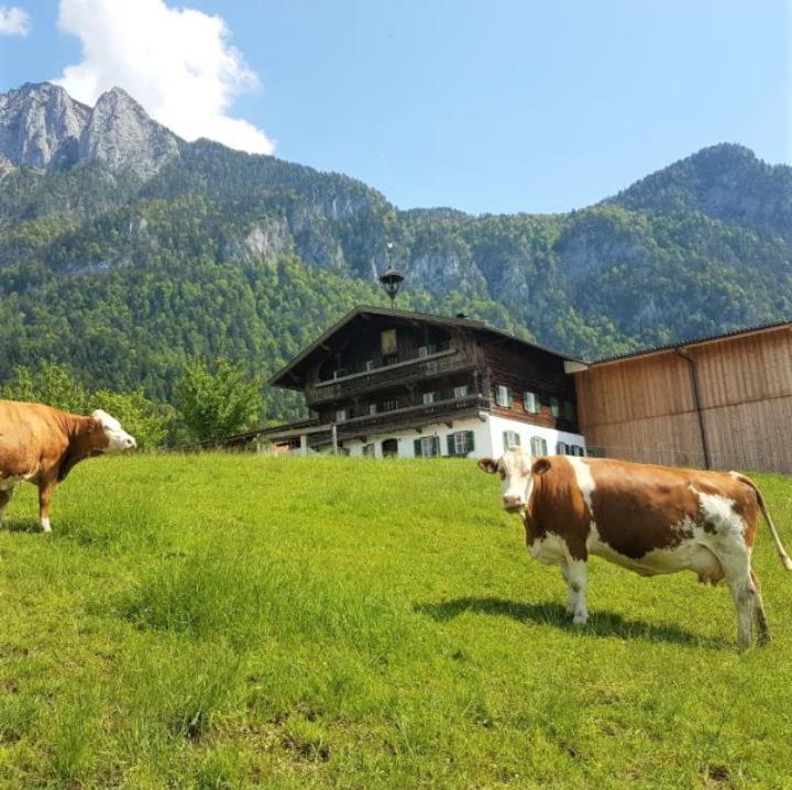 Selbstversorgerhütte Plafing