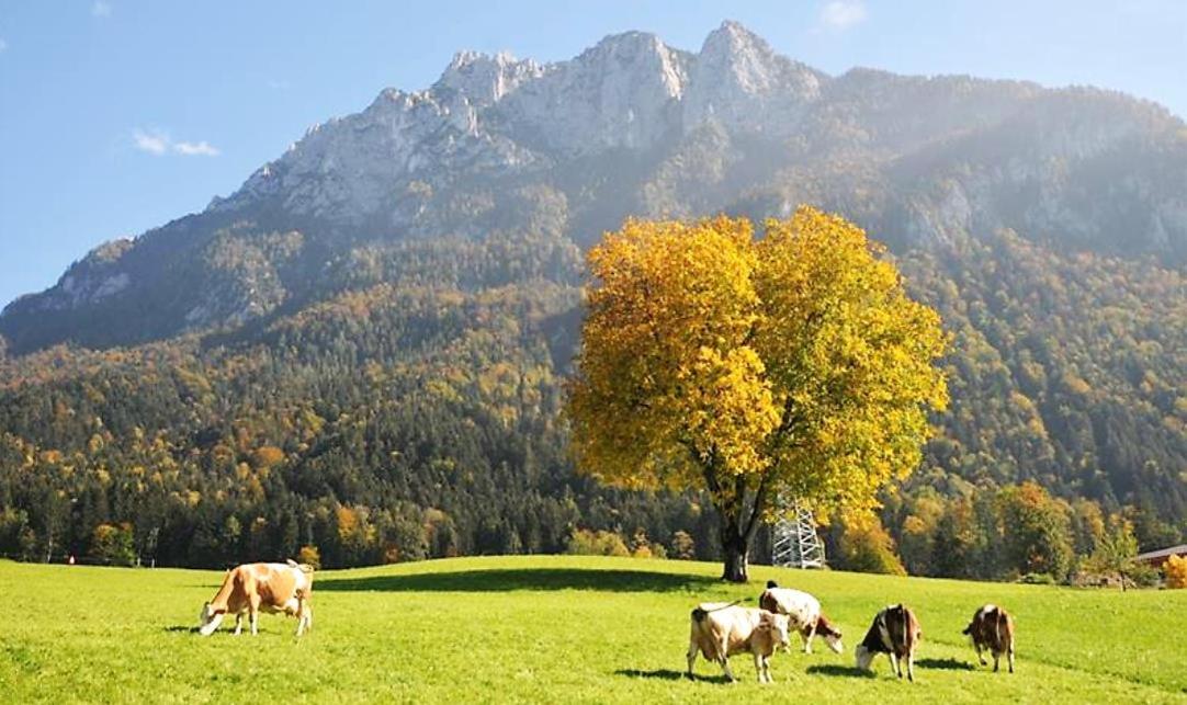Selbstversorgerhütte Plafing