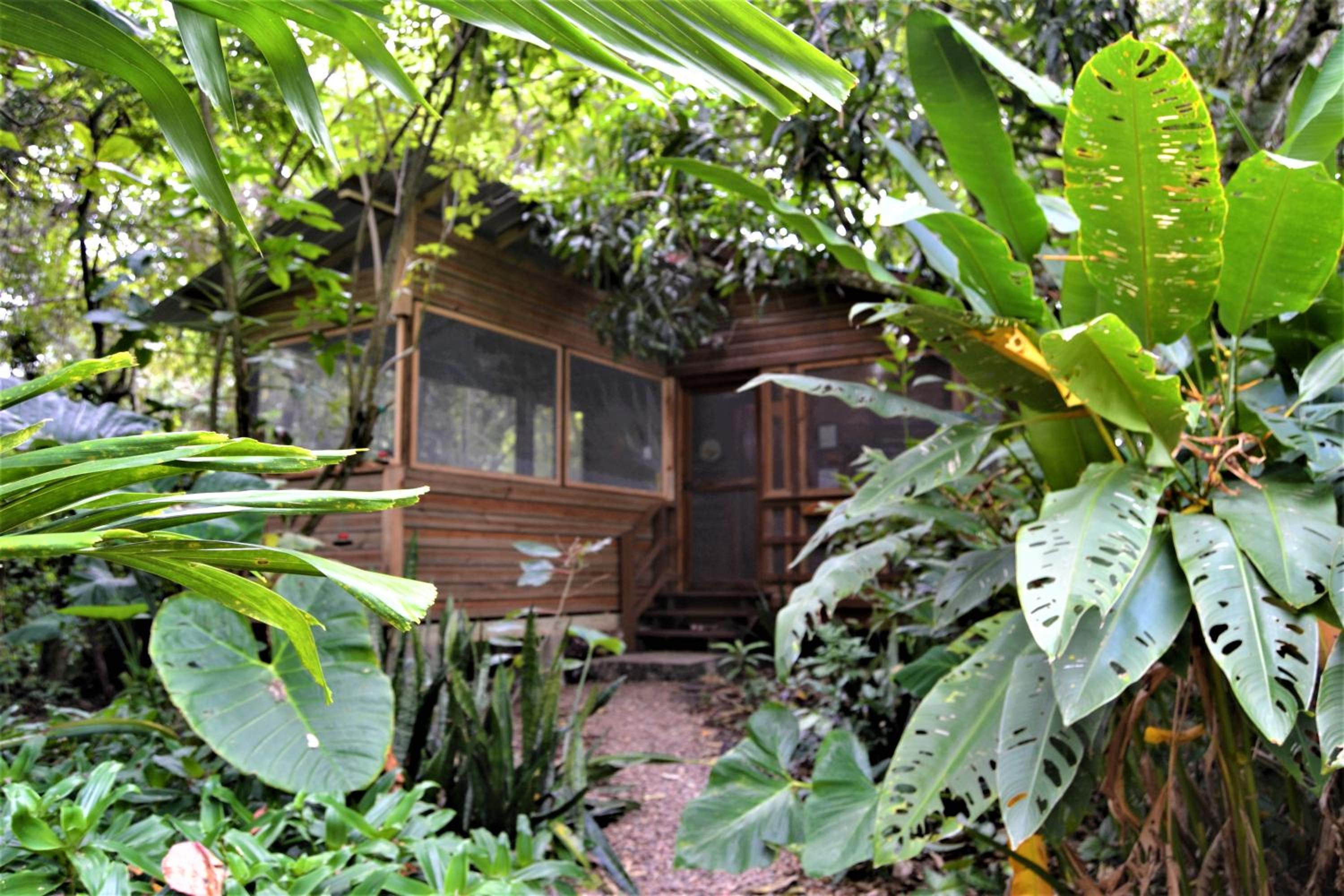 Licensed 2 bedroom cabin Close to San Ignacio, local dining, and adventure tours