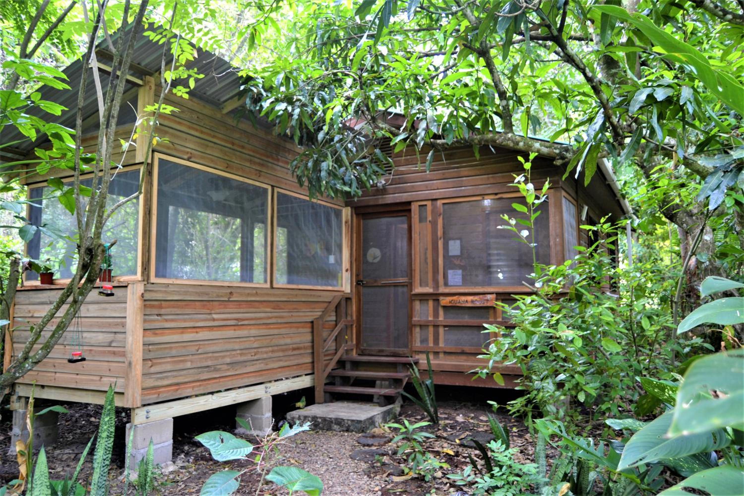 Belize Vacations - Iguana Roost Tourism Gold Standard Fully Equipped two Bedroom Cabin - Property Image 1